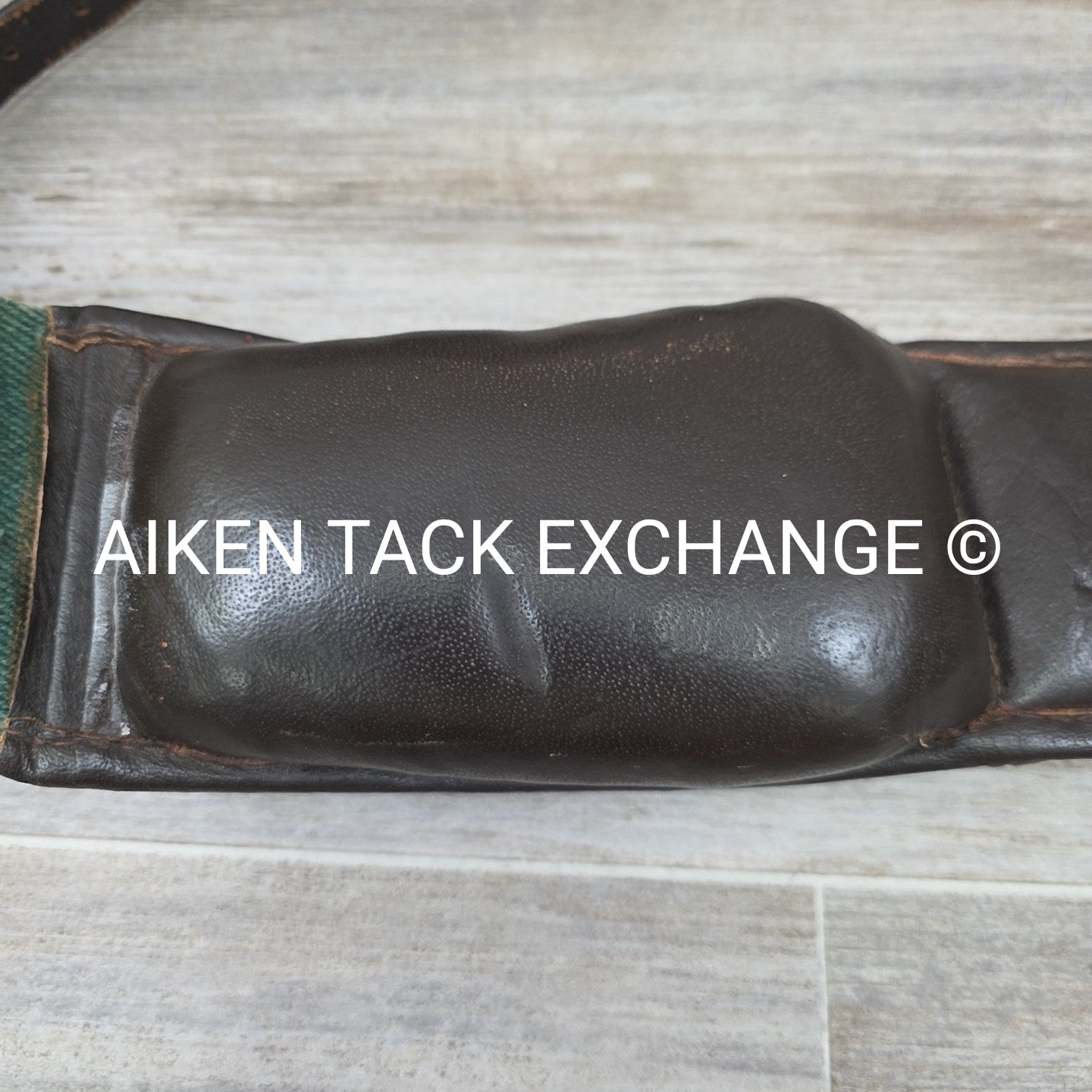 Dover Saddlery Classic Web Lunging Surcingle