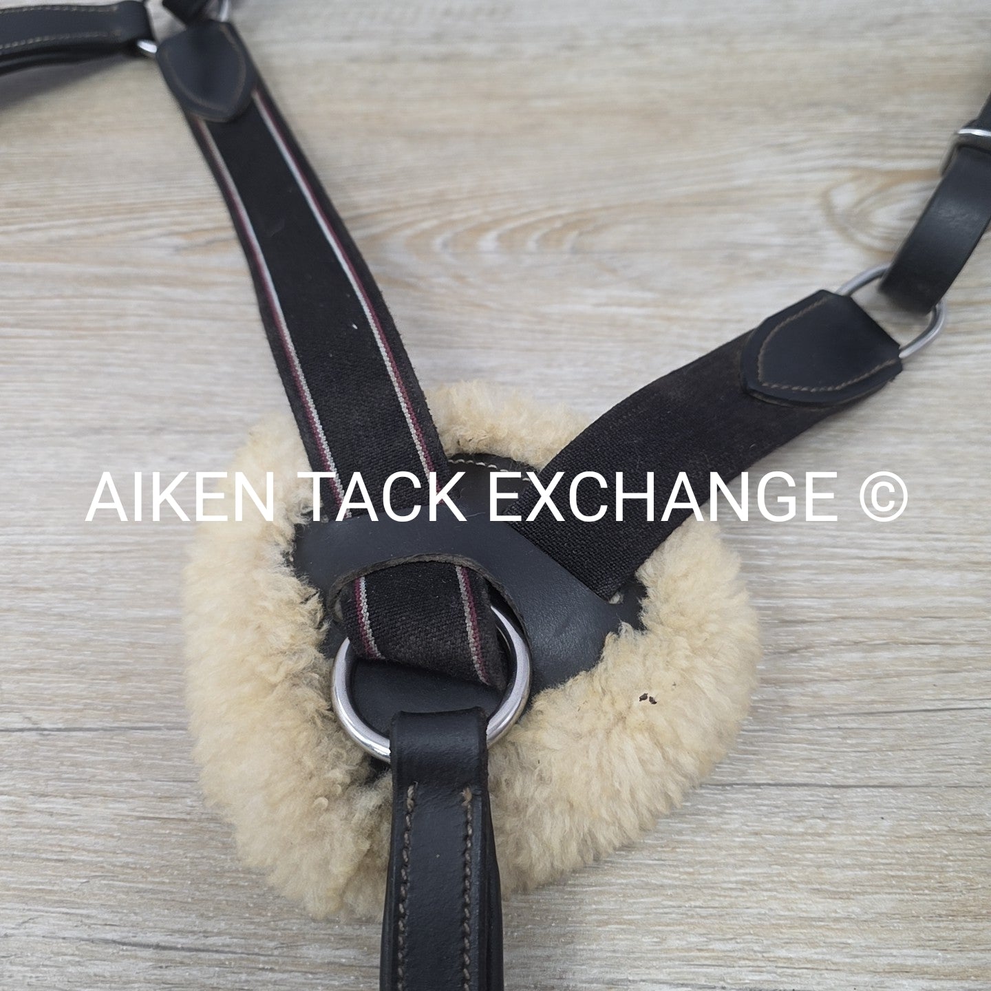 HDR 5 Point Elastic Breastplate, Black, Size Full