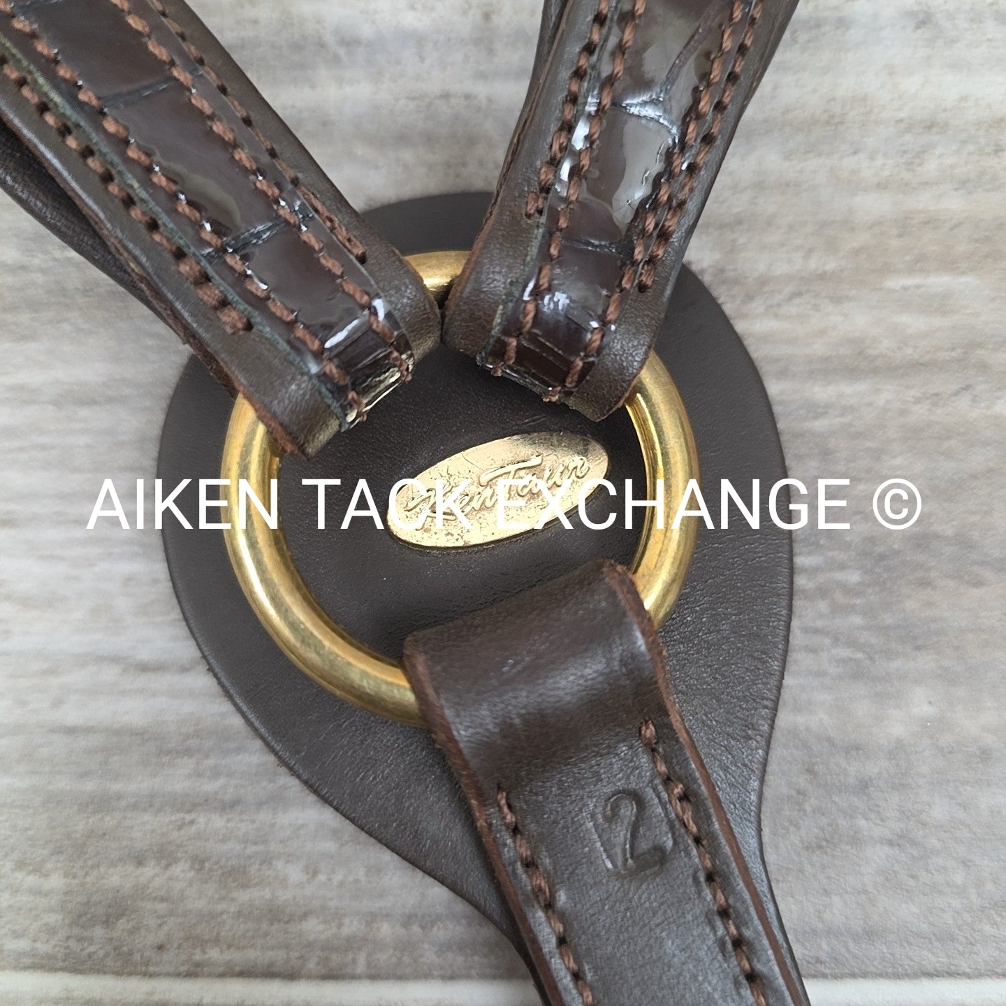 Kentaur Elastic Breastplate with Running Martingale Attachment, Brown, Size Cob