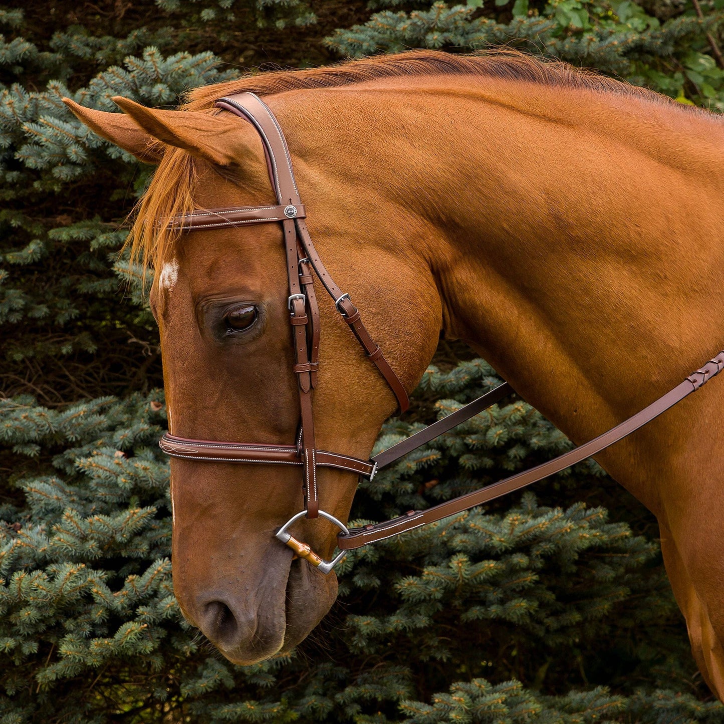 Henri de Rivel Pro Mono Crown Fancy Stitched Padded Bridle: Australian Nut / Pony