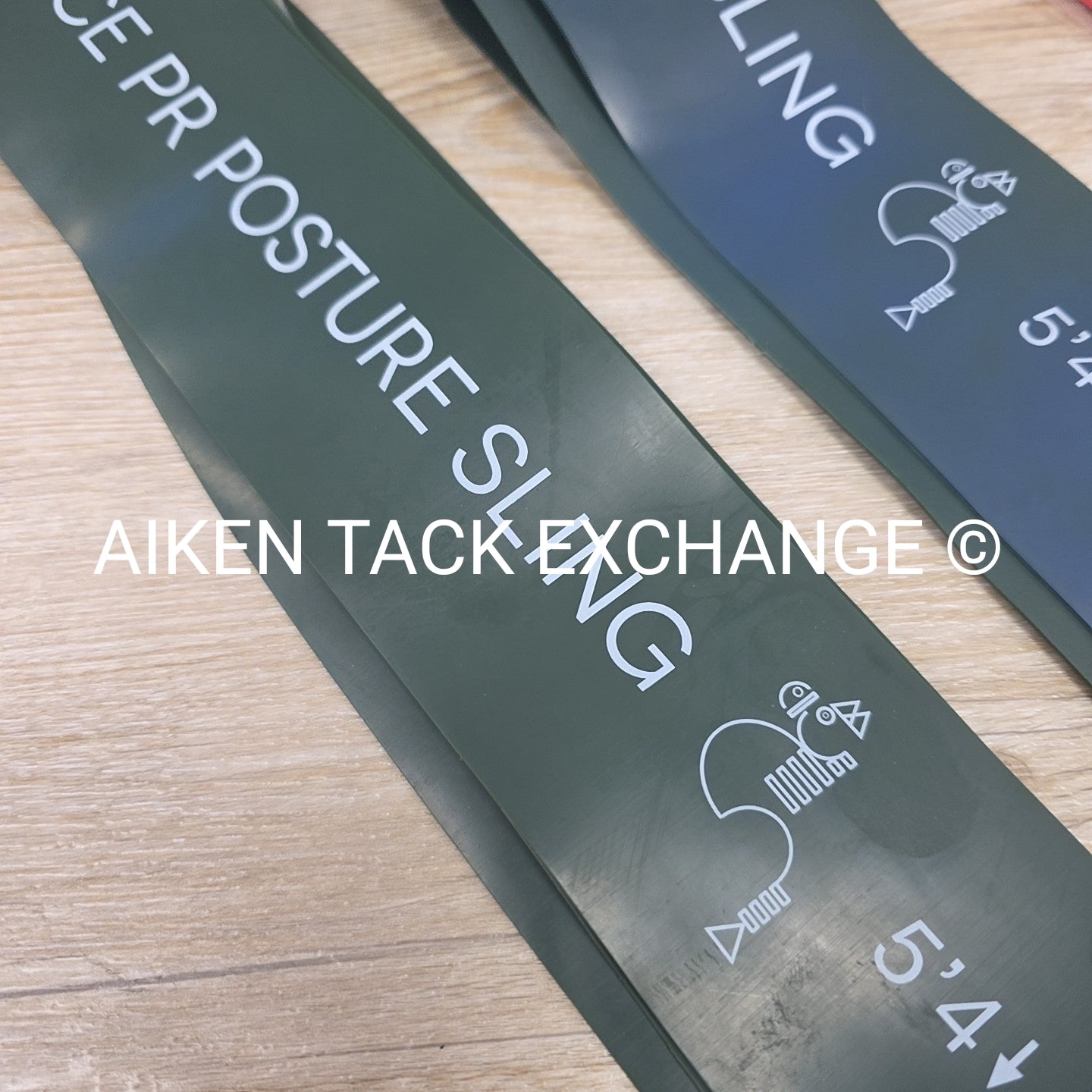 Equiformance Posture Sling, Level 1 & 2 Bands with Shoulder Supports