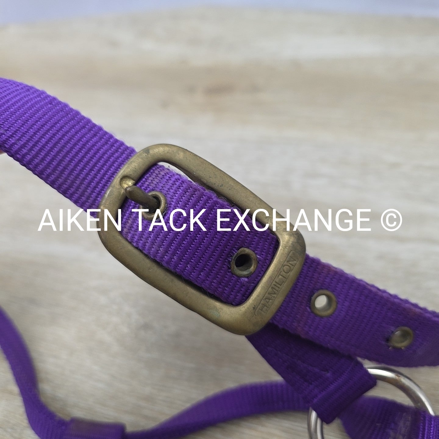 BARGAIN BUNDLE: 2 Nylon Halters, Size Full