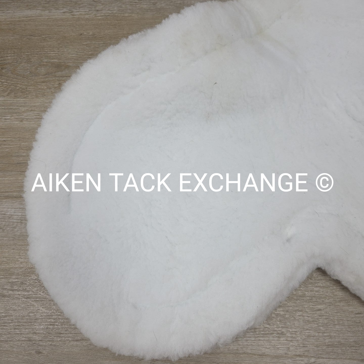 Toklat ProQuilt CC Fleece Show Pad with Joey Girth Slot, White, Size 17-17.5