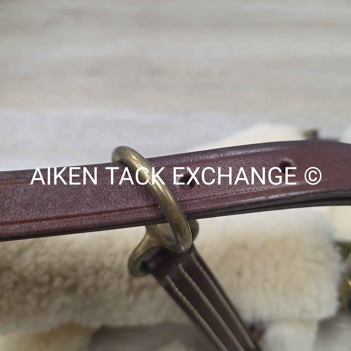 Walsh Shipping Halter, Oversize