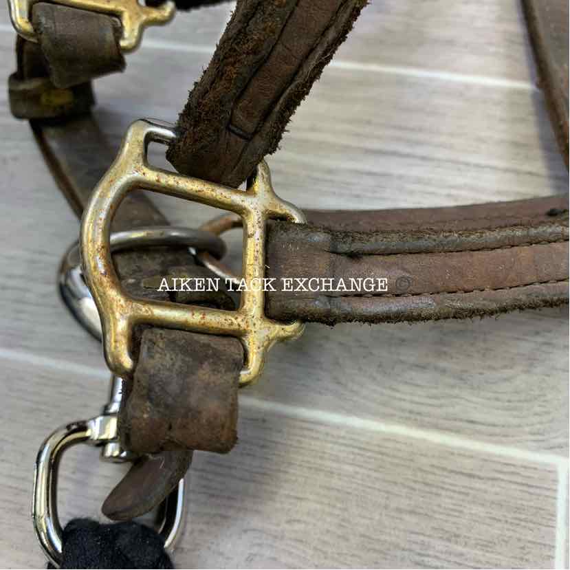 BARGAIN BUNDLE: Perri's Leather Halter w/ Lead Rope