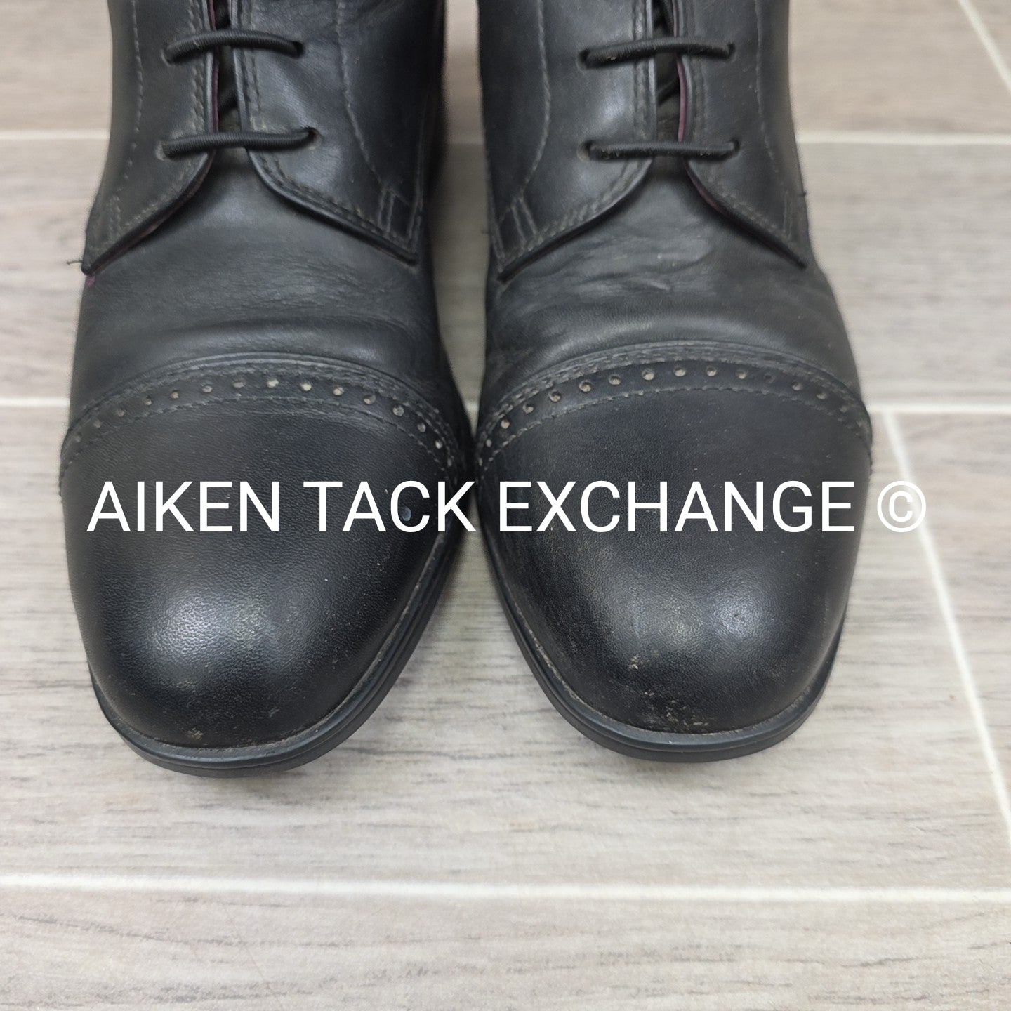 Ariat Capriole Full Front Lace Tall Boots, Size 8.5 Medium Regular
