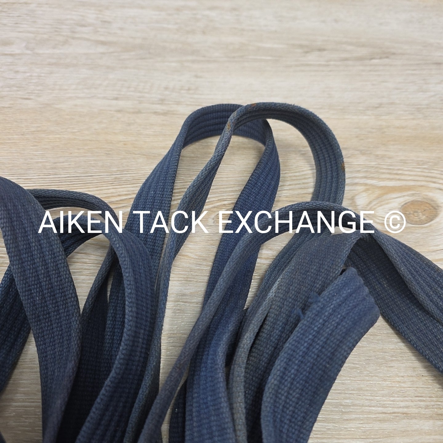 BARGAIN BUNDLE: Cotton Web Lunge Line with Chain & Leather Lead with Chain