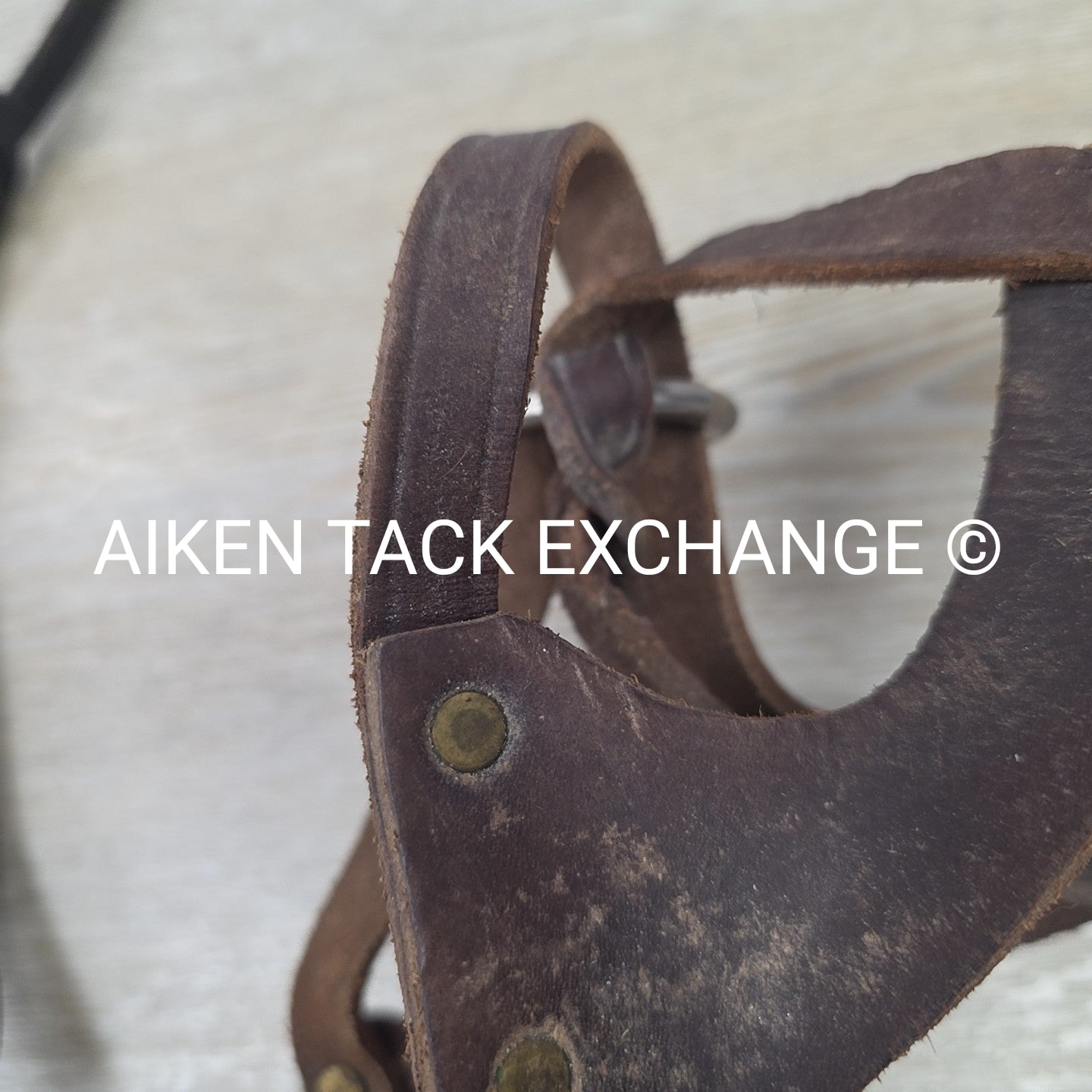 BARGAIN BUNDLE: 2 Leather Foal Halters
