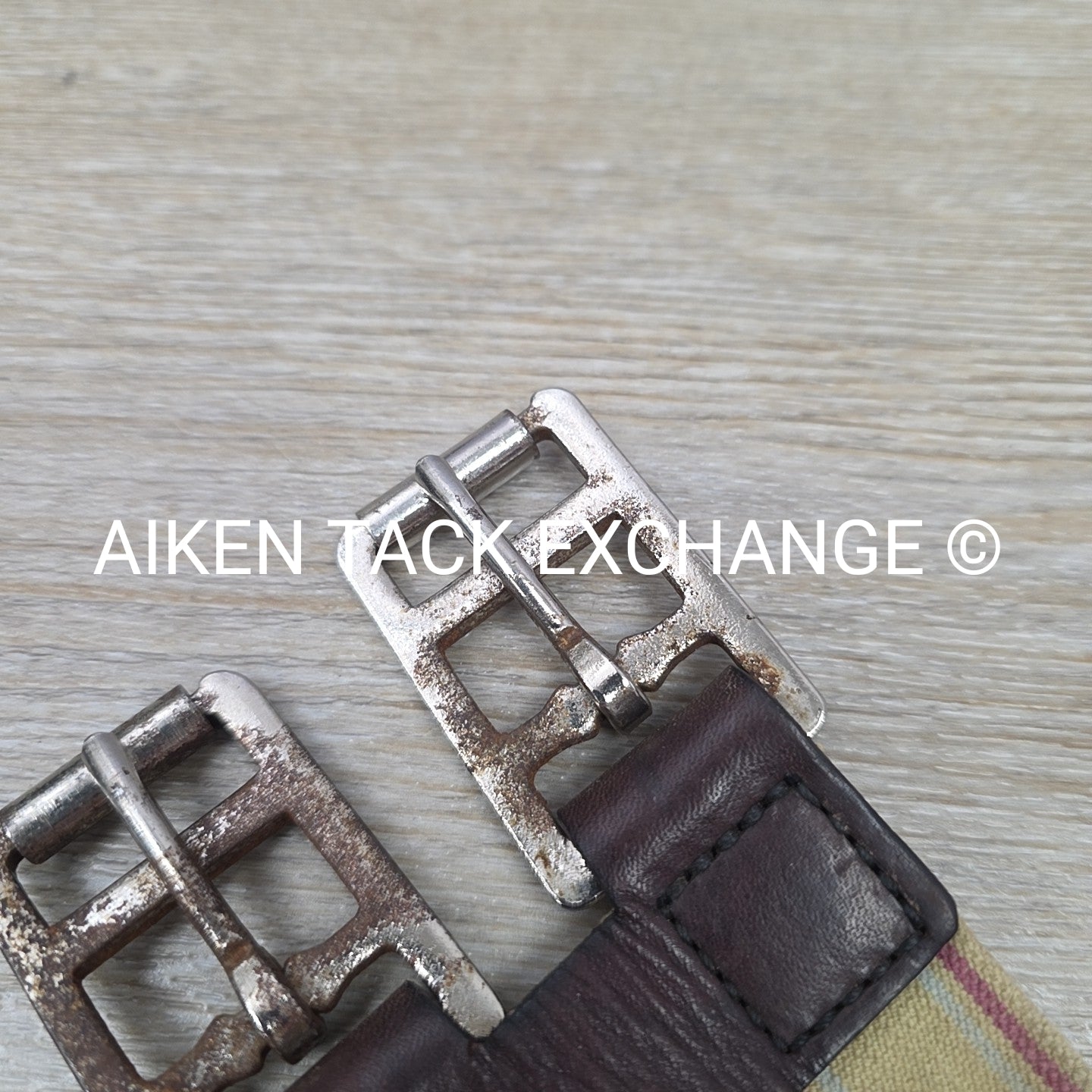 Tory Leather Girth Extender with Elastic