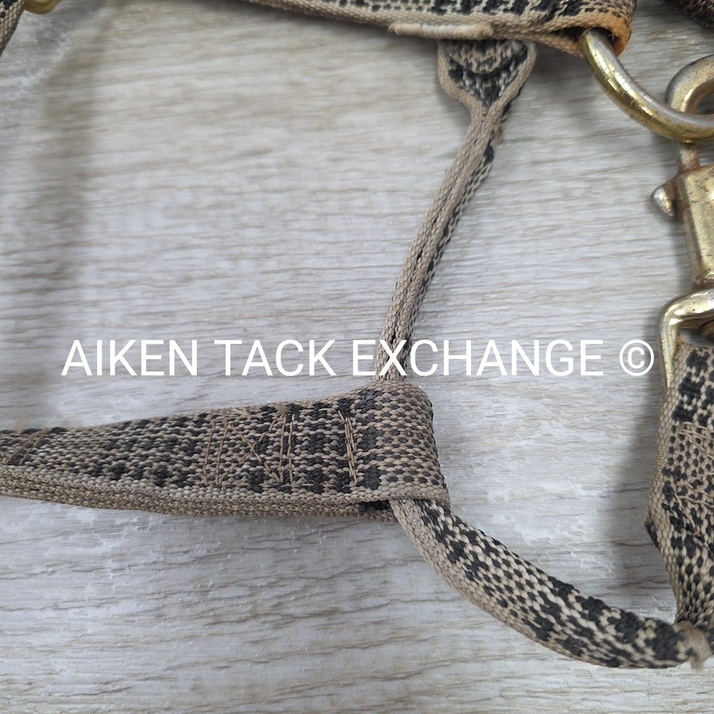 BARGAIN BUNDLE: 5/A Baker Halter & Lead with Chain, Size Pony