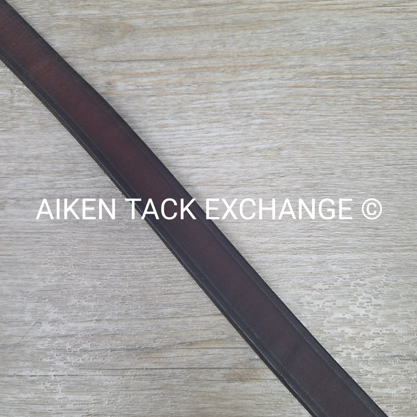 Tory Leather Padded Lead w/ Chain (has nameplate)