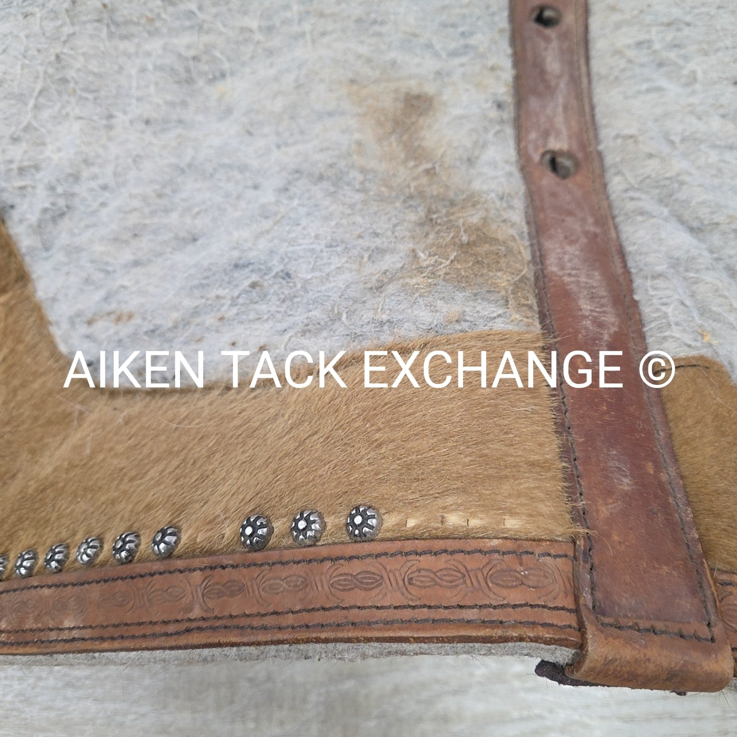Showman 427 Felt Bottom Saddle Pad with Argentine Cow Hide
