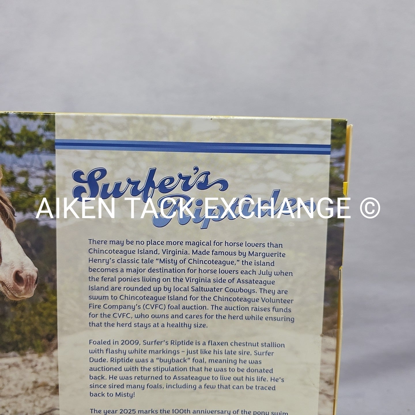 Breyer 75th Anniversary Chincoteague Pony Stallion Surfer's Riptide