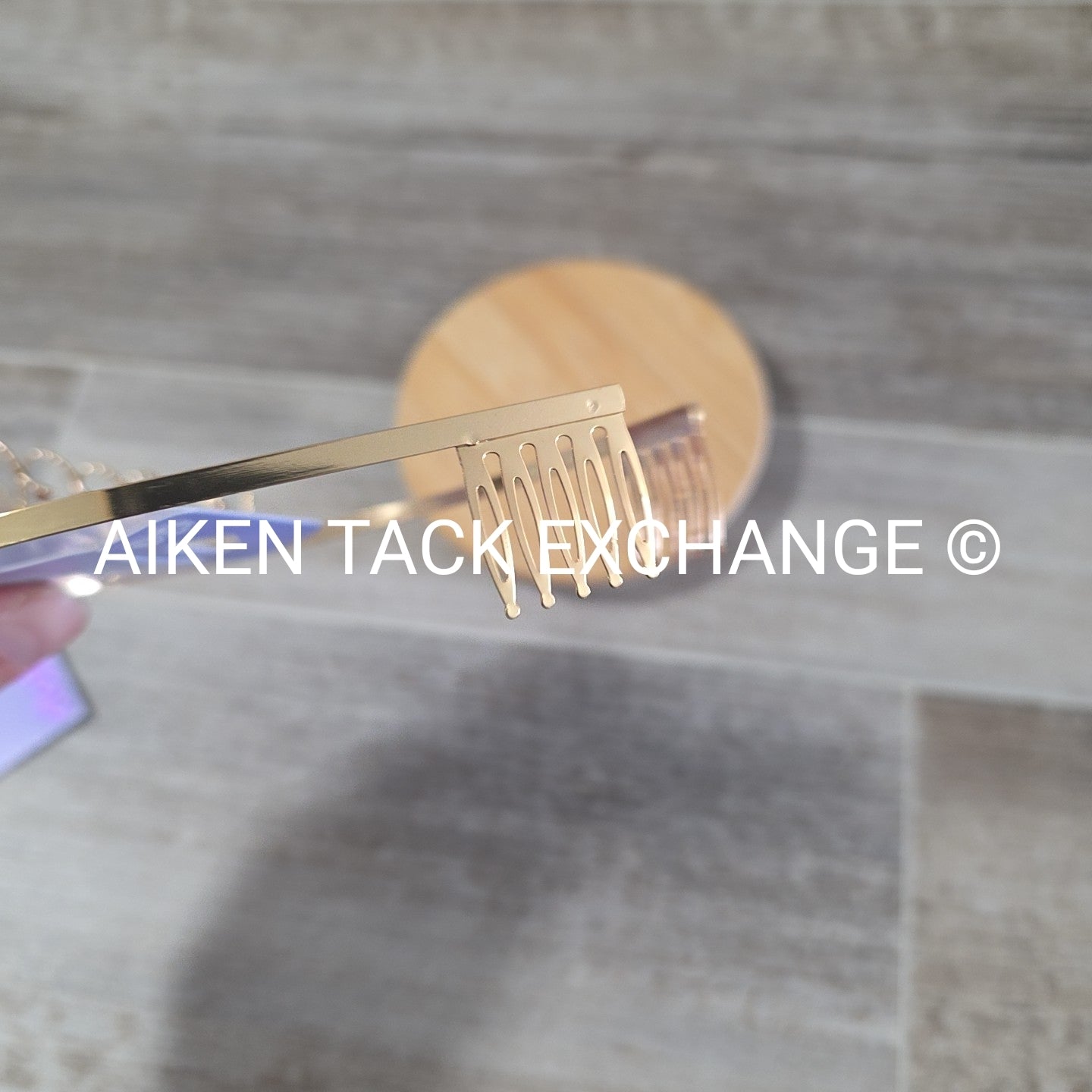 Claire's Tiara + Necklace