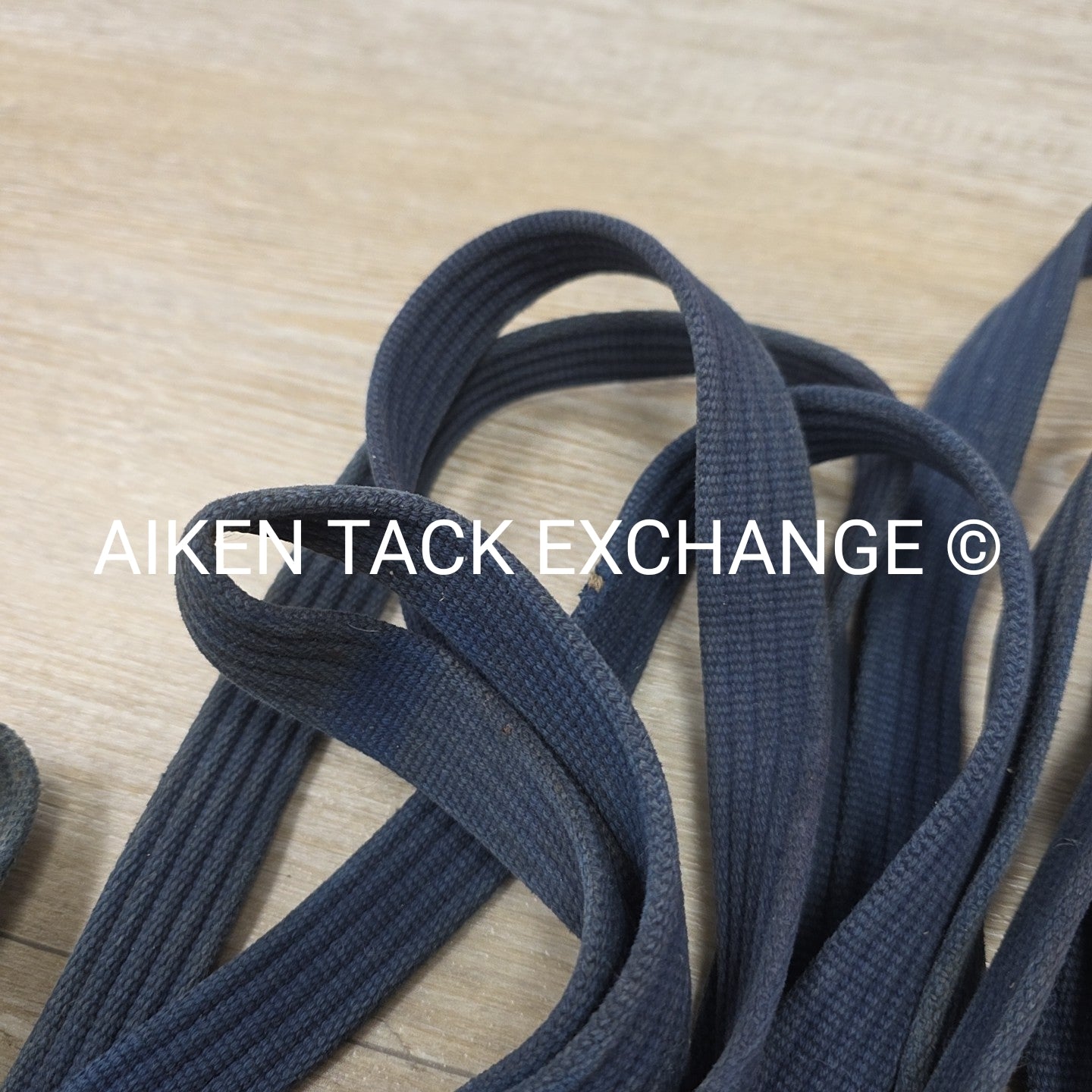 BARGAIN BUNDLE: Cotton Web Lunge Line with Chain & Leather Lead with Chain