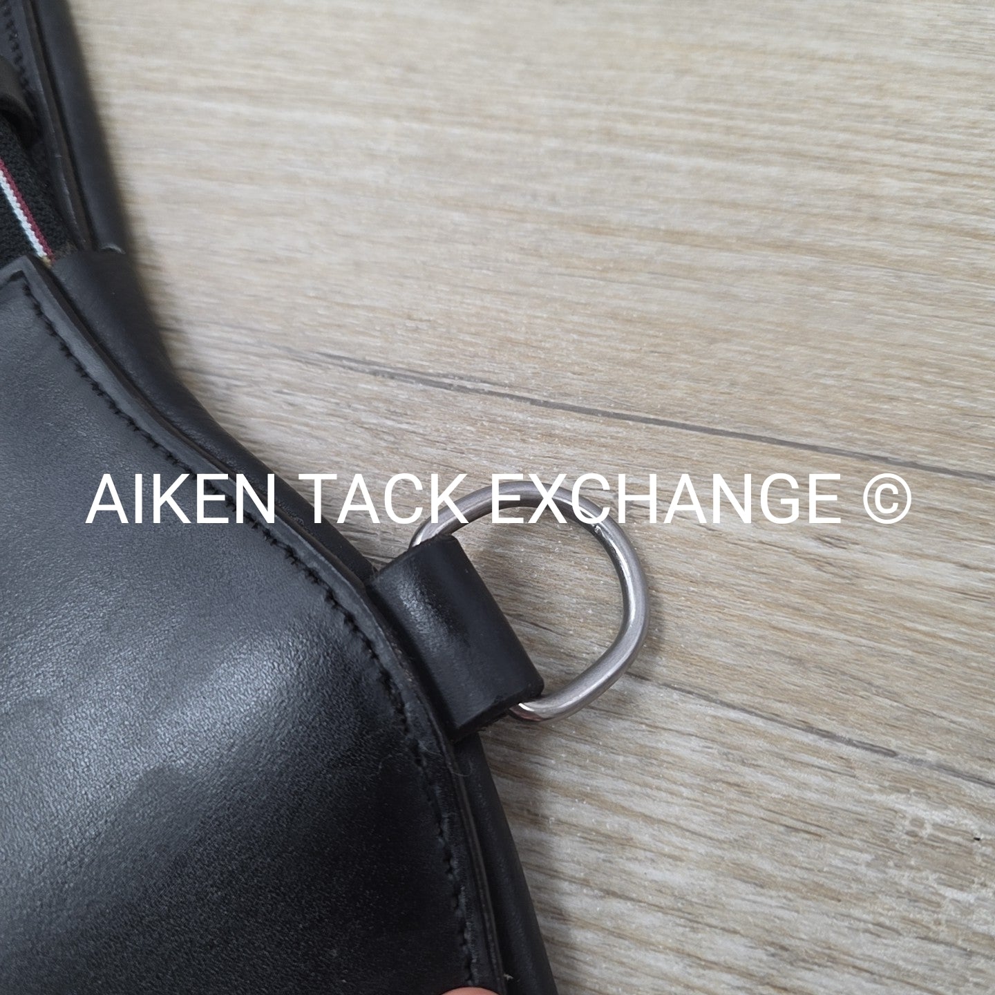 Padded Leather Contour Dressage Girth with Double End Elastic, Black, 18"