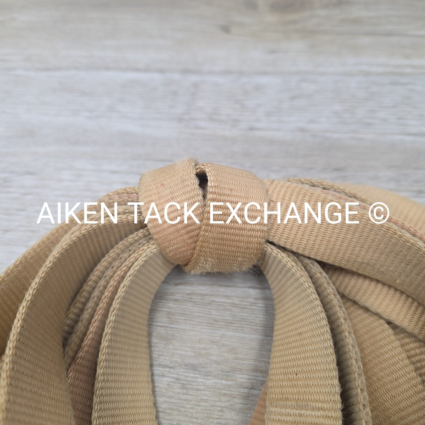 BARGAIN BUNDLE: 2 Nylon Lunge Lines