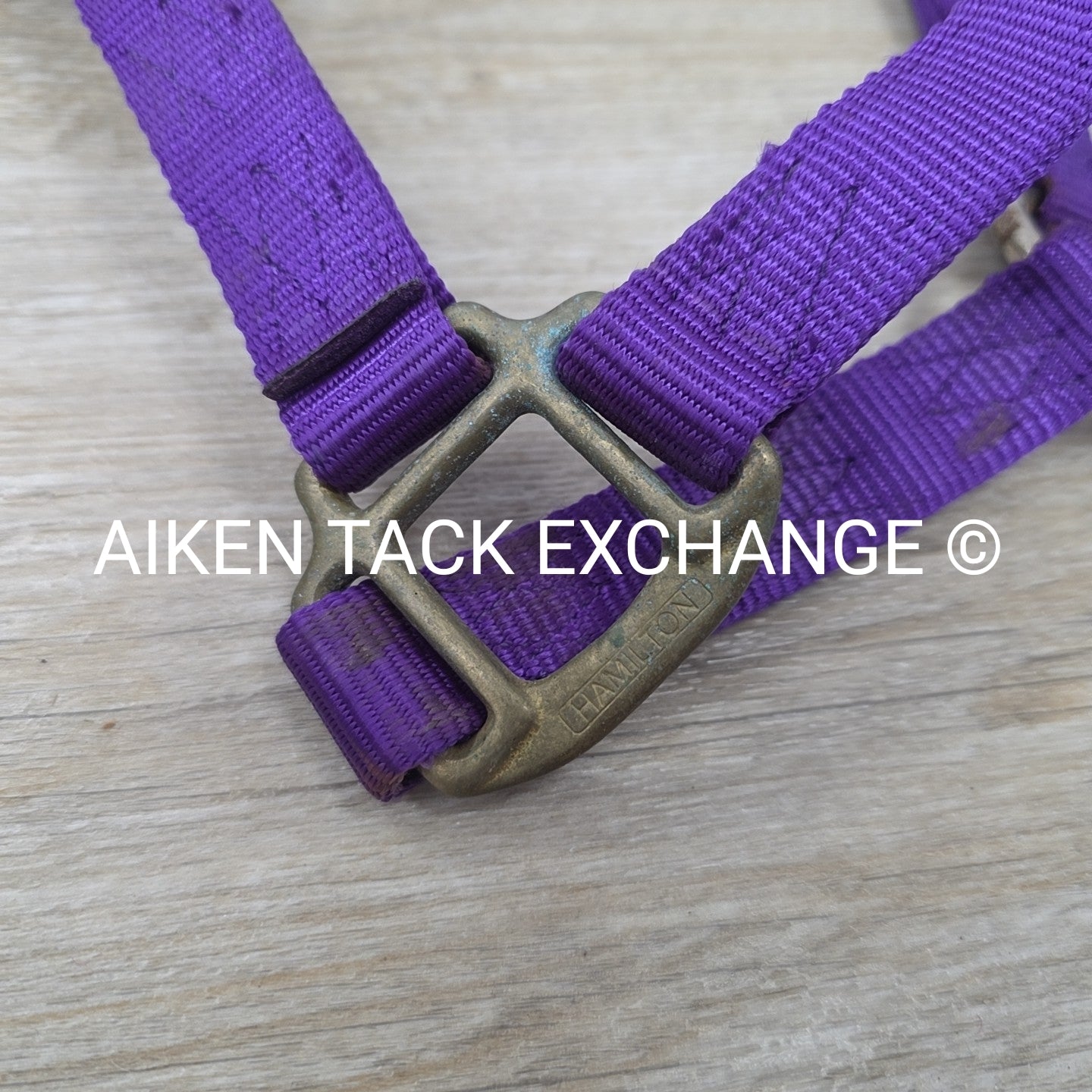 BARGAIN BUNDLE: 2 Nylon Halters, Size Full