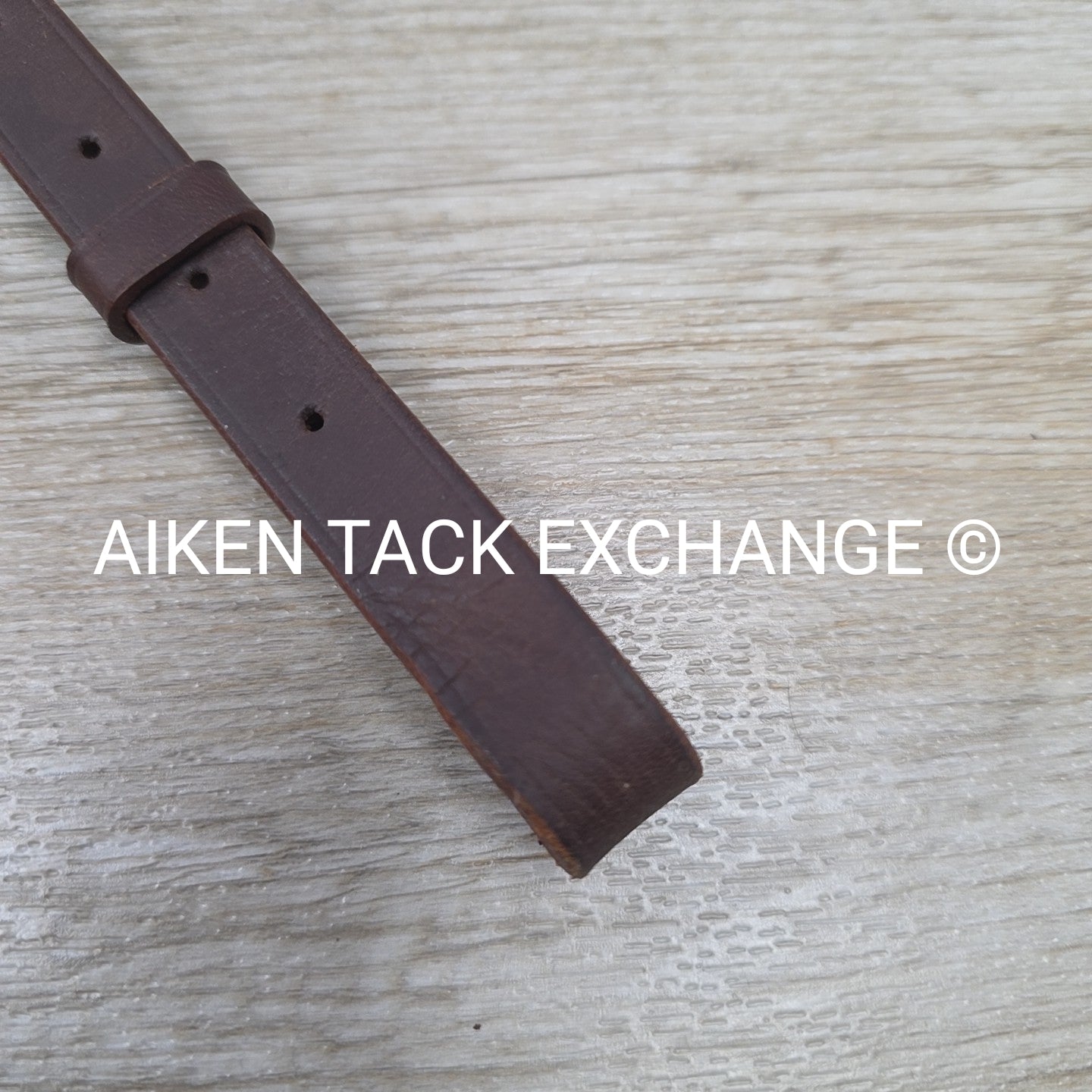 Beval Plain Square Raised Running Martingale, Brown, Size Full