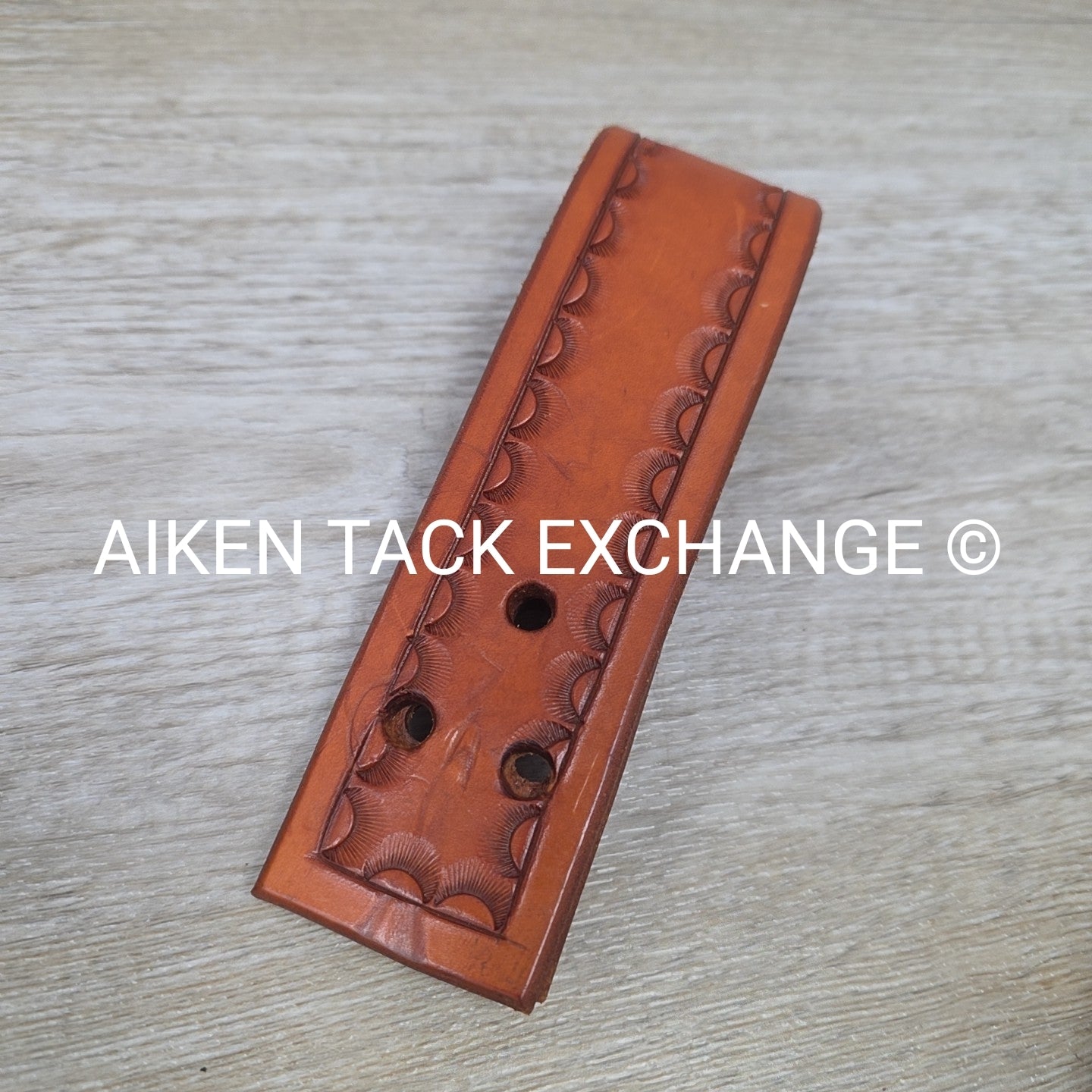 Rear Cinch Billets with Extenders