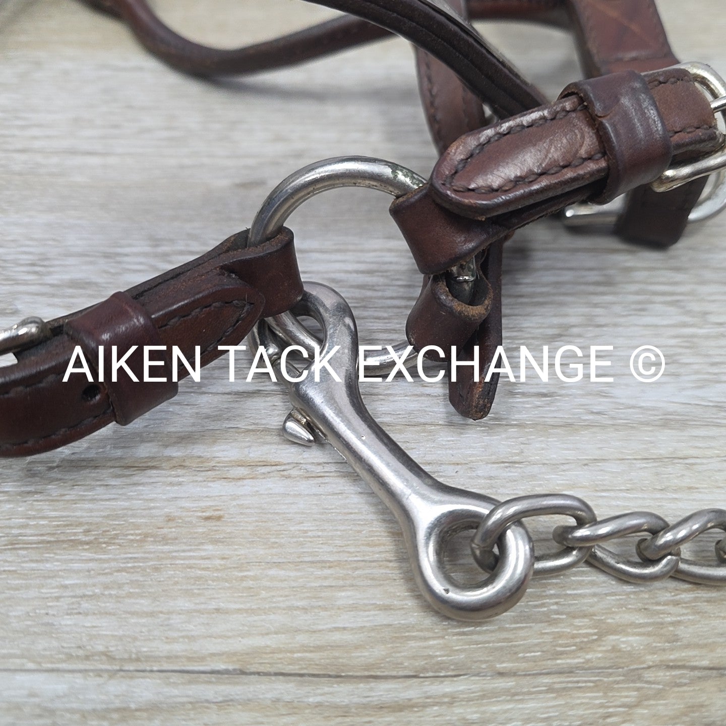 Circle Y Engraved Show Halter with Matching Lead, Size Full