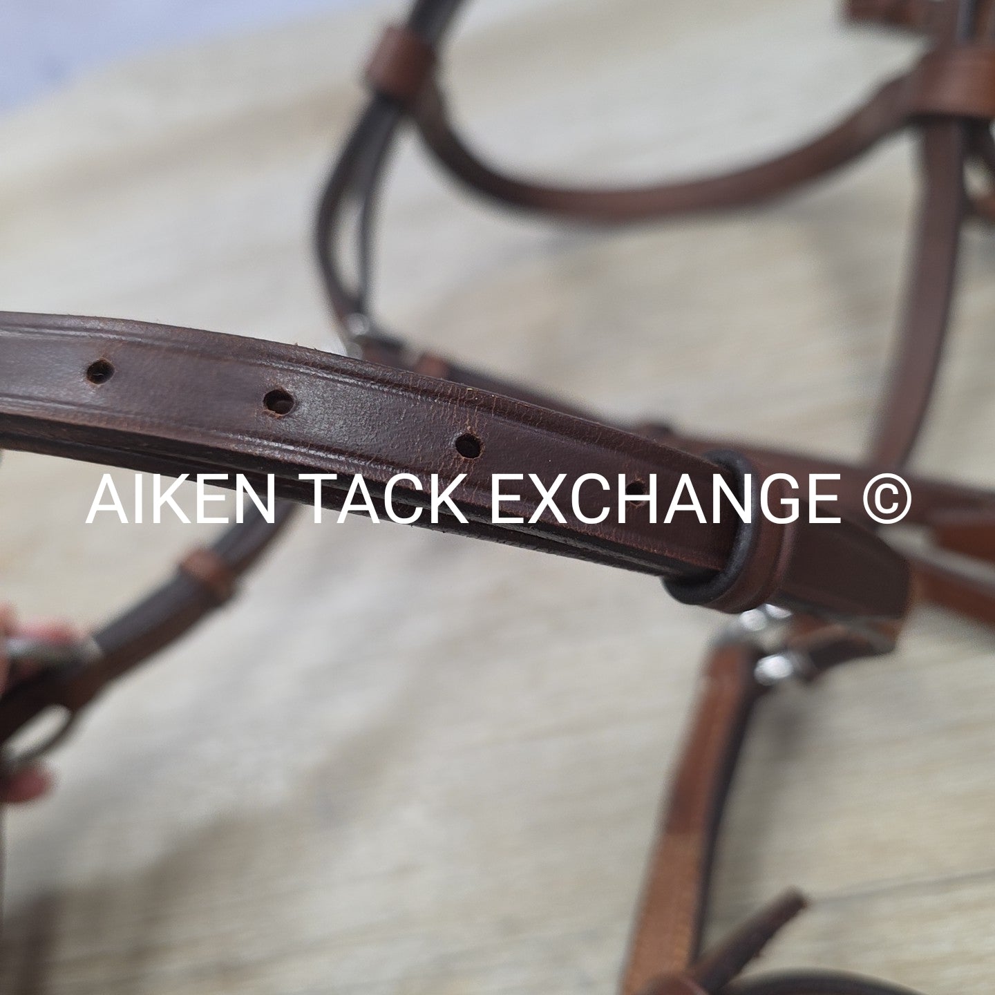 Dover Saddlery Circuit Plain Raised Figure 8 Bridle, No Reins, Size Full