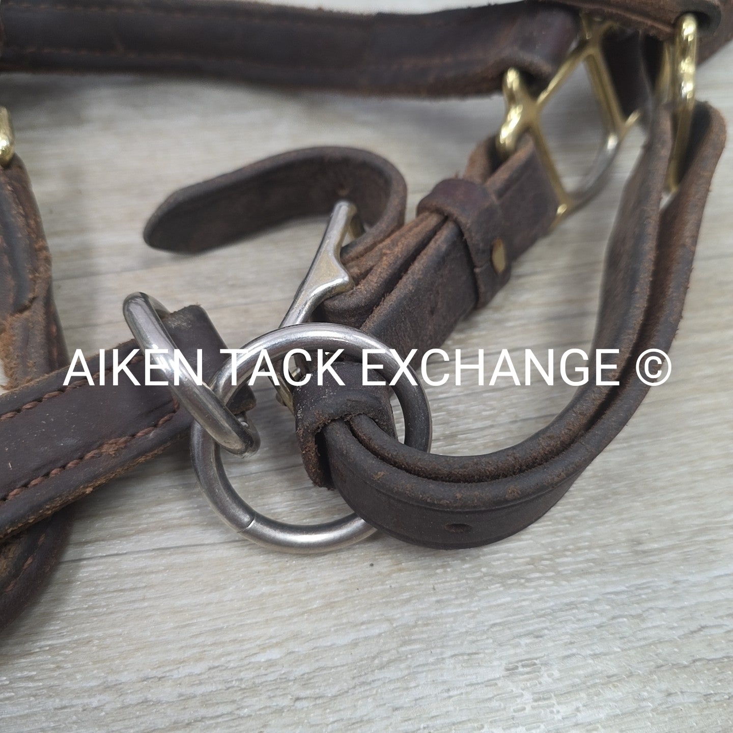 BARGAIN BUNDLE: Leather Halter & Nylon Halter, Size Full