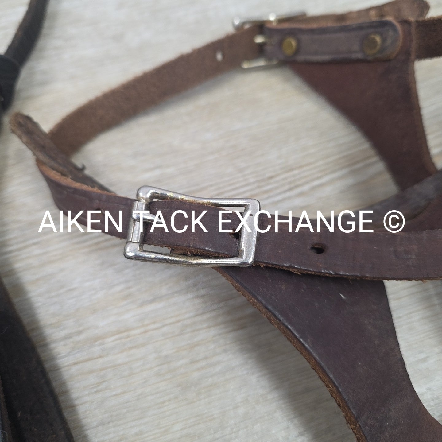 BARGAIN BUNDLE: 2 Leather Foal Halters