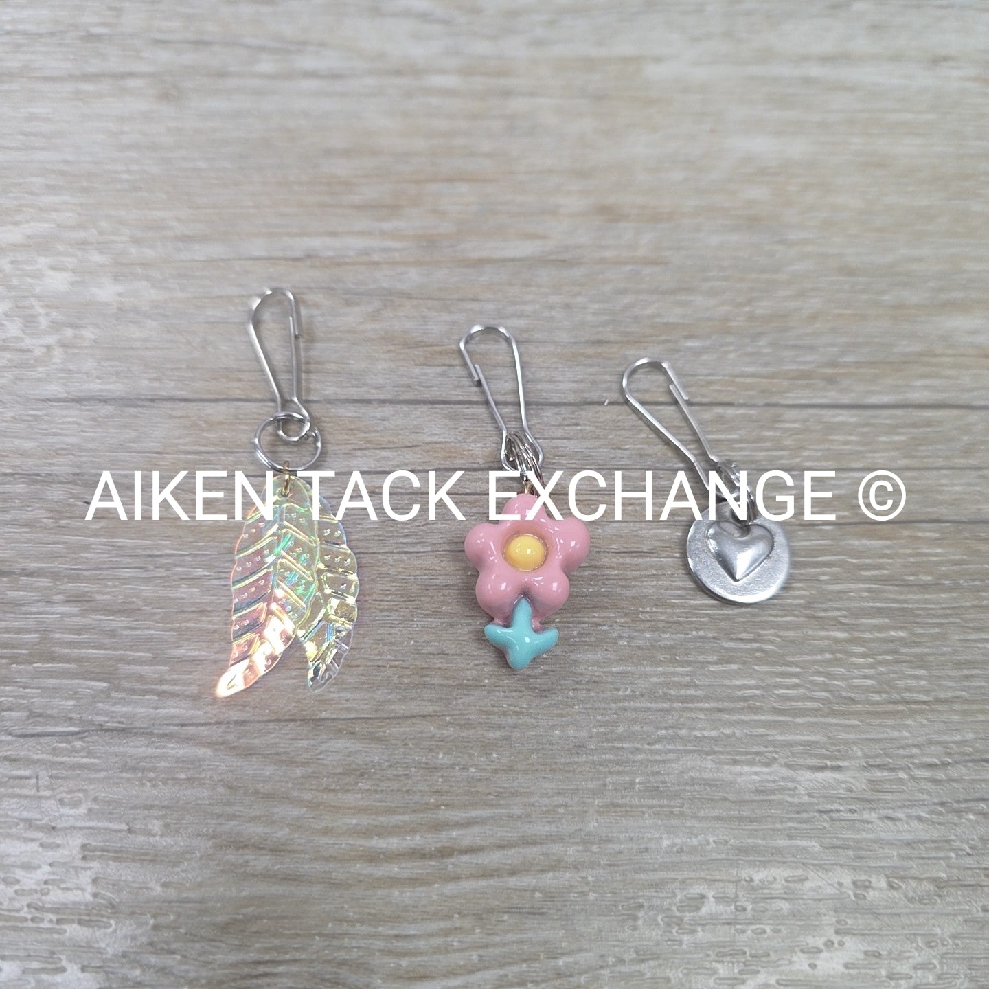 Bridle Charms, Set of 3
