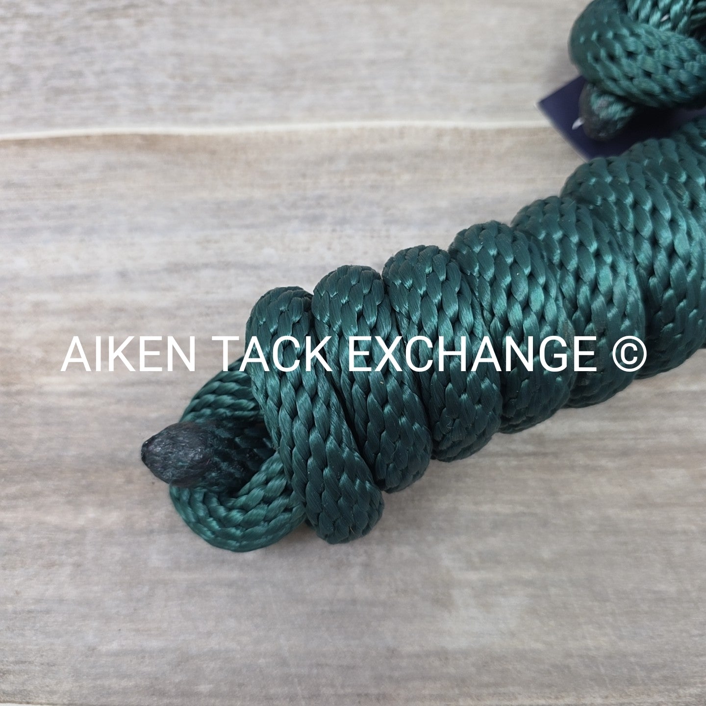 Direct Equine Braided Rope Halter w/ Lead