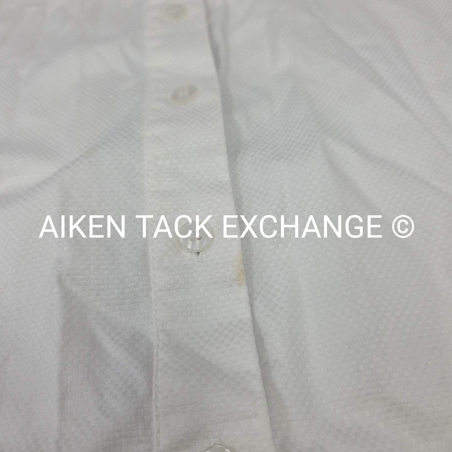 Allon Equestrian Show Shirt, Women's 34