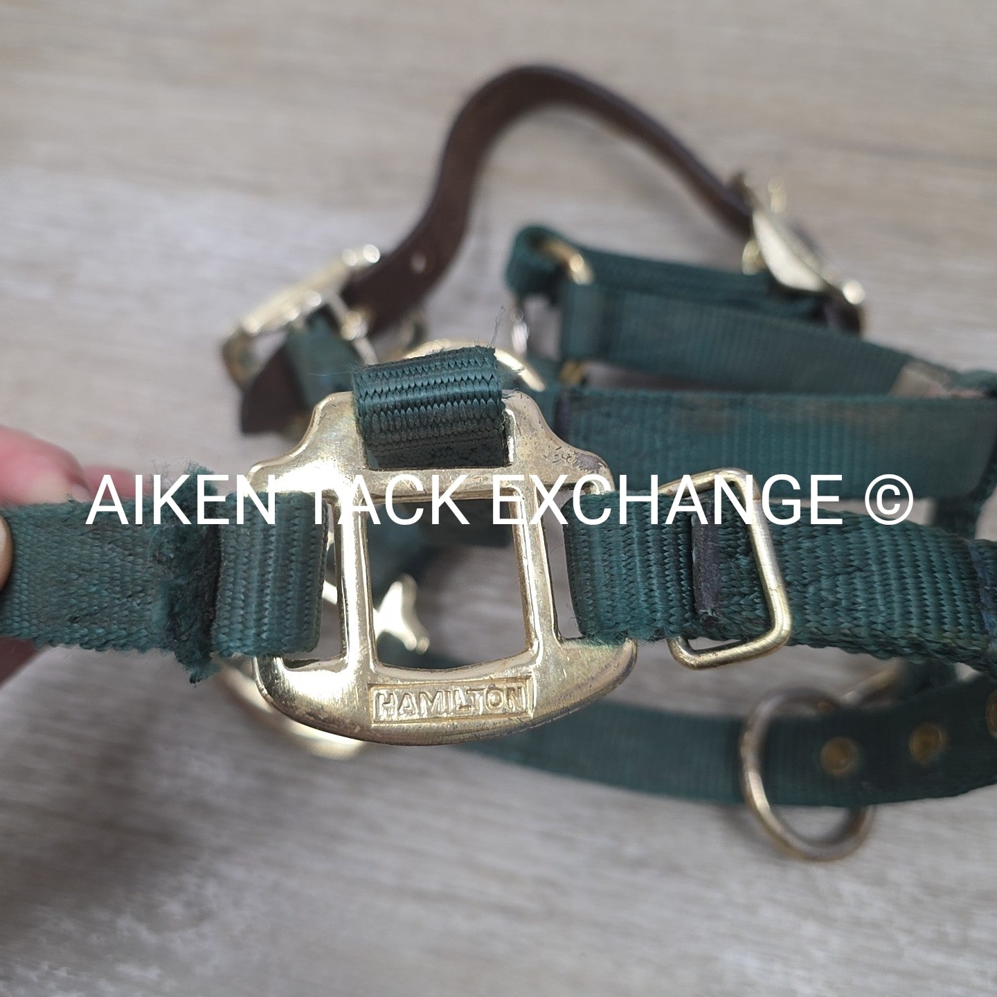 Hamilton Nylon Breakaway Halter, Size Foal