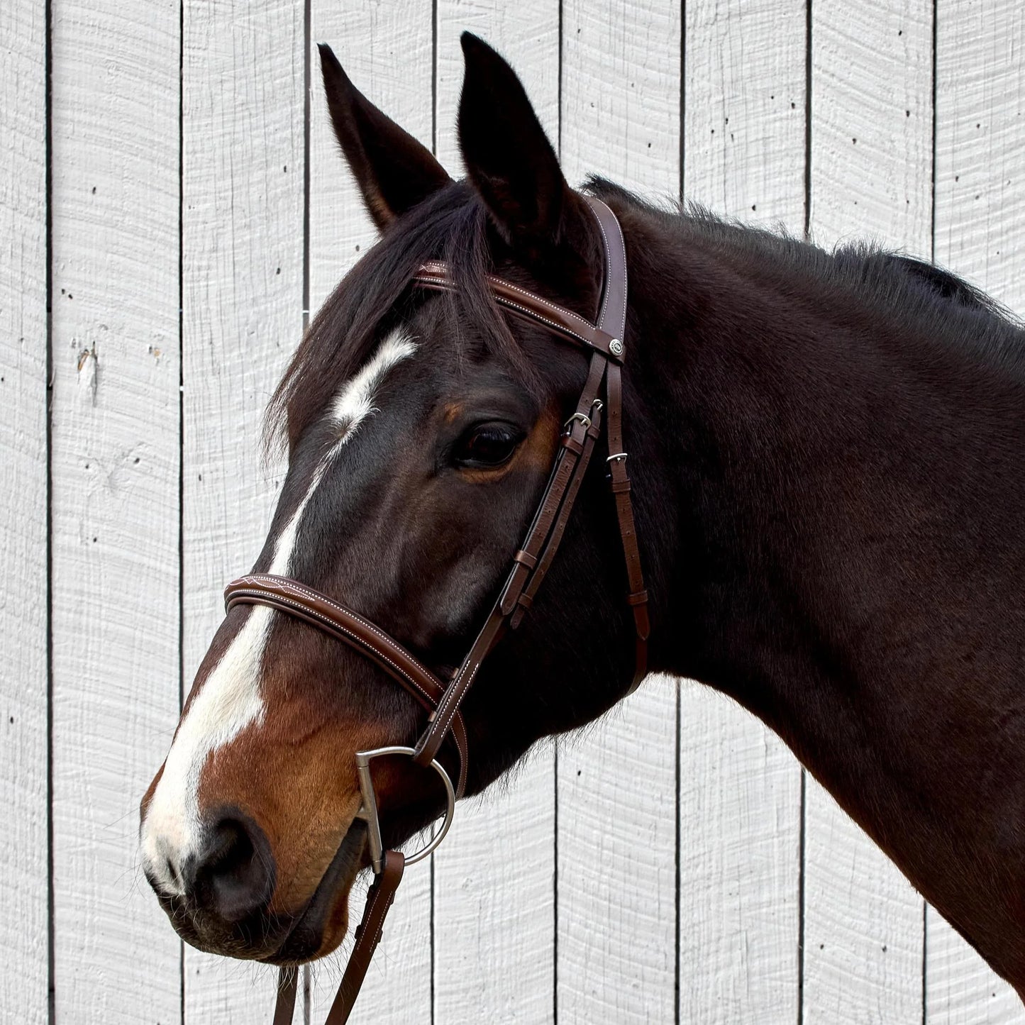 HDR Pro Mono Crown Fancy Stitched Padded Bridle with Matching Laced Reins: Australian Nut / Oversize