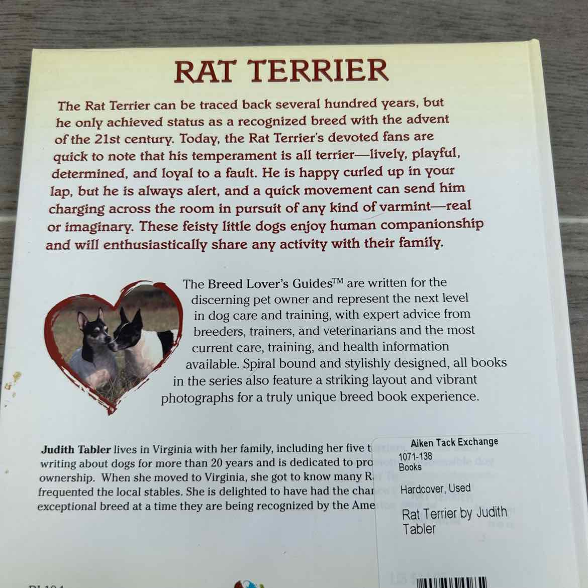 Rat Terrier by Judith Tabler
