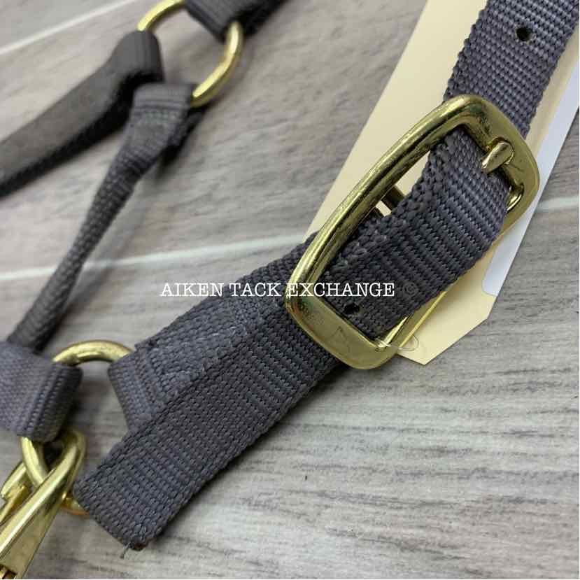 Nylon Halter, Size Colt