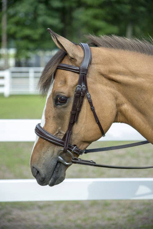 Henri de Rivel Pro Mono-Crown Padded Wide Noseband Bridle: Australian Nut / Oversize