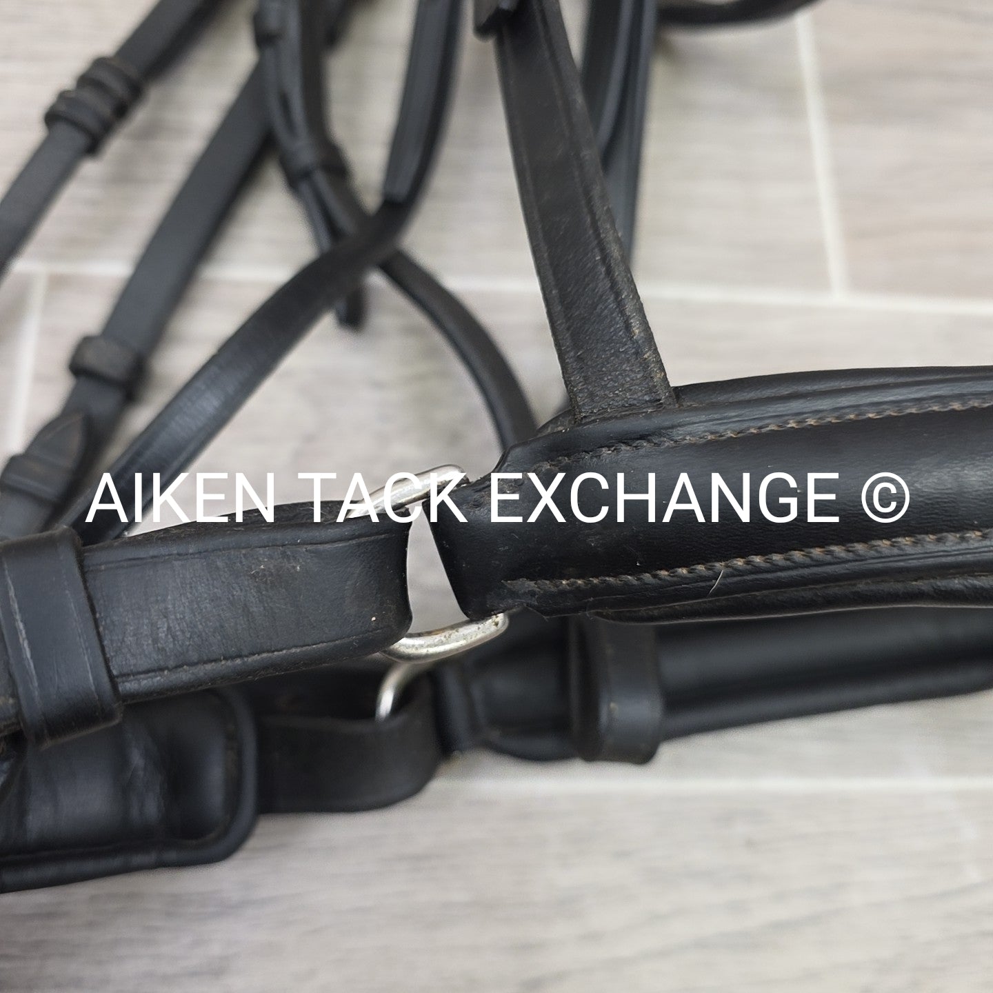 Passier & Sohn Fortuna Bridle, No Reins, Missing Flash Strap, Black, Size Full