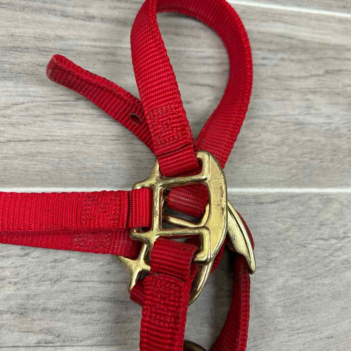 Weaver Leather Nylon Halter, Size Medium Arabian
