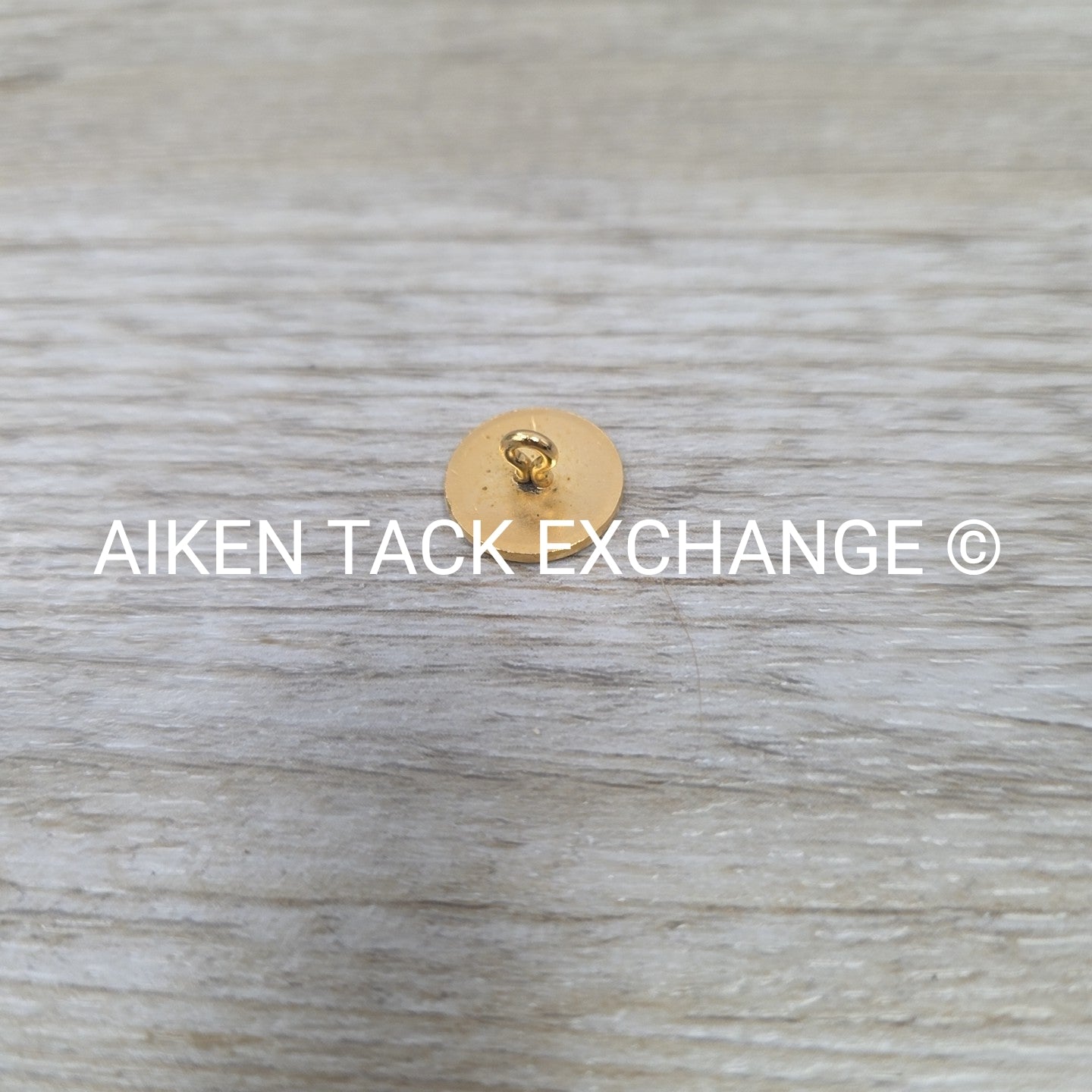 Tryon Hounds Brass Button, Small