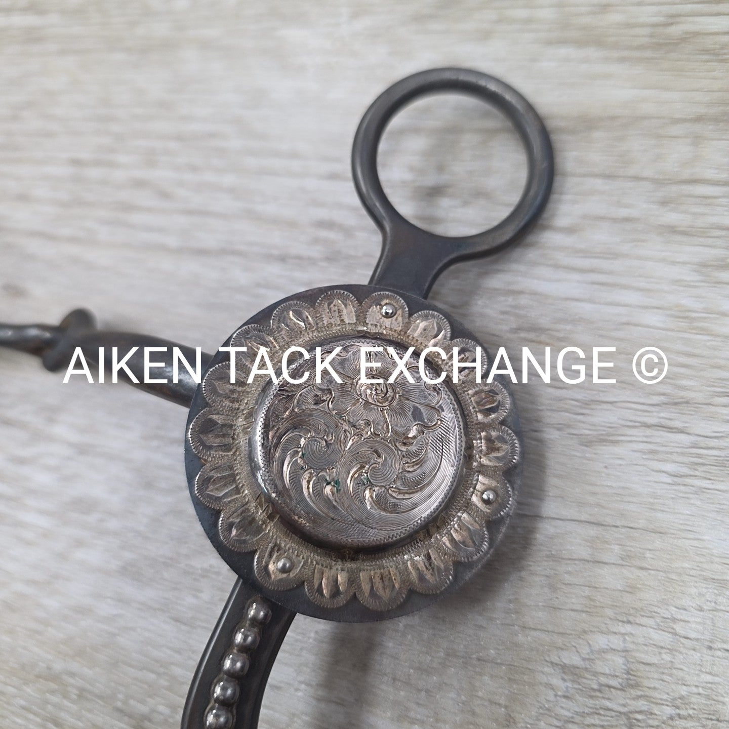 Single Joint Sweet Iron Western Bit 4.75"