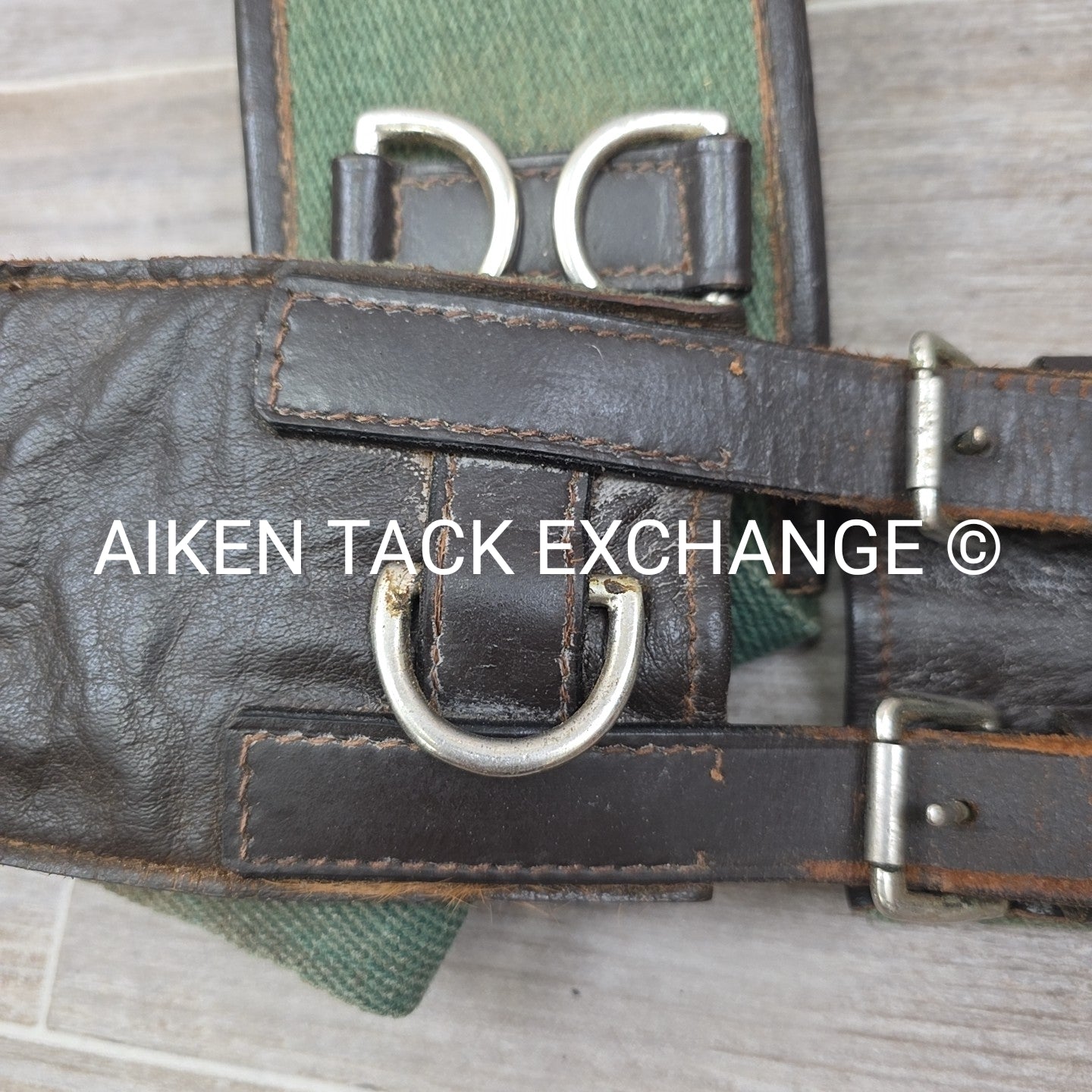 Dover Saddlery Classic Web Lunging Surcingle
