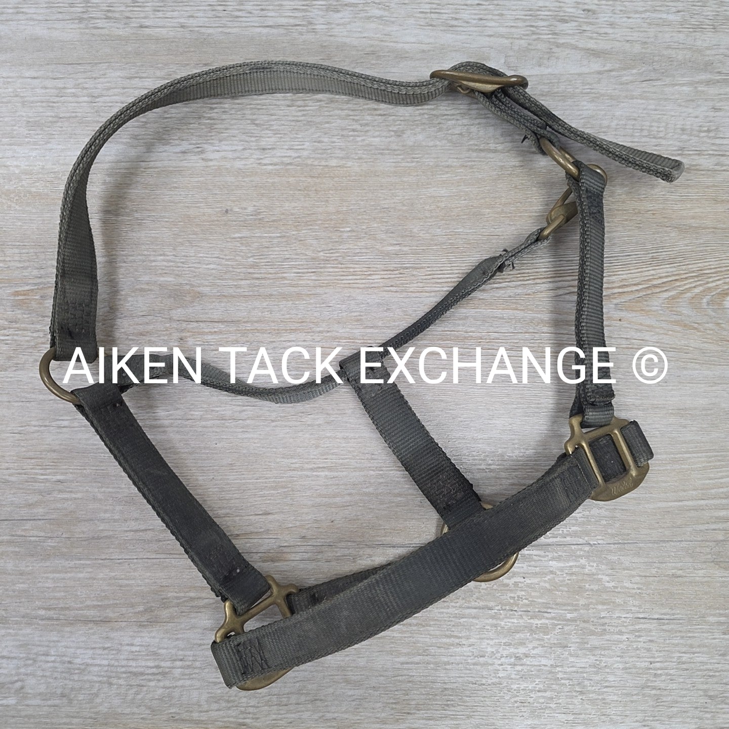 Walsh Nylon Halter, Size Cob