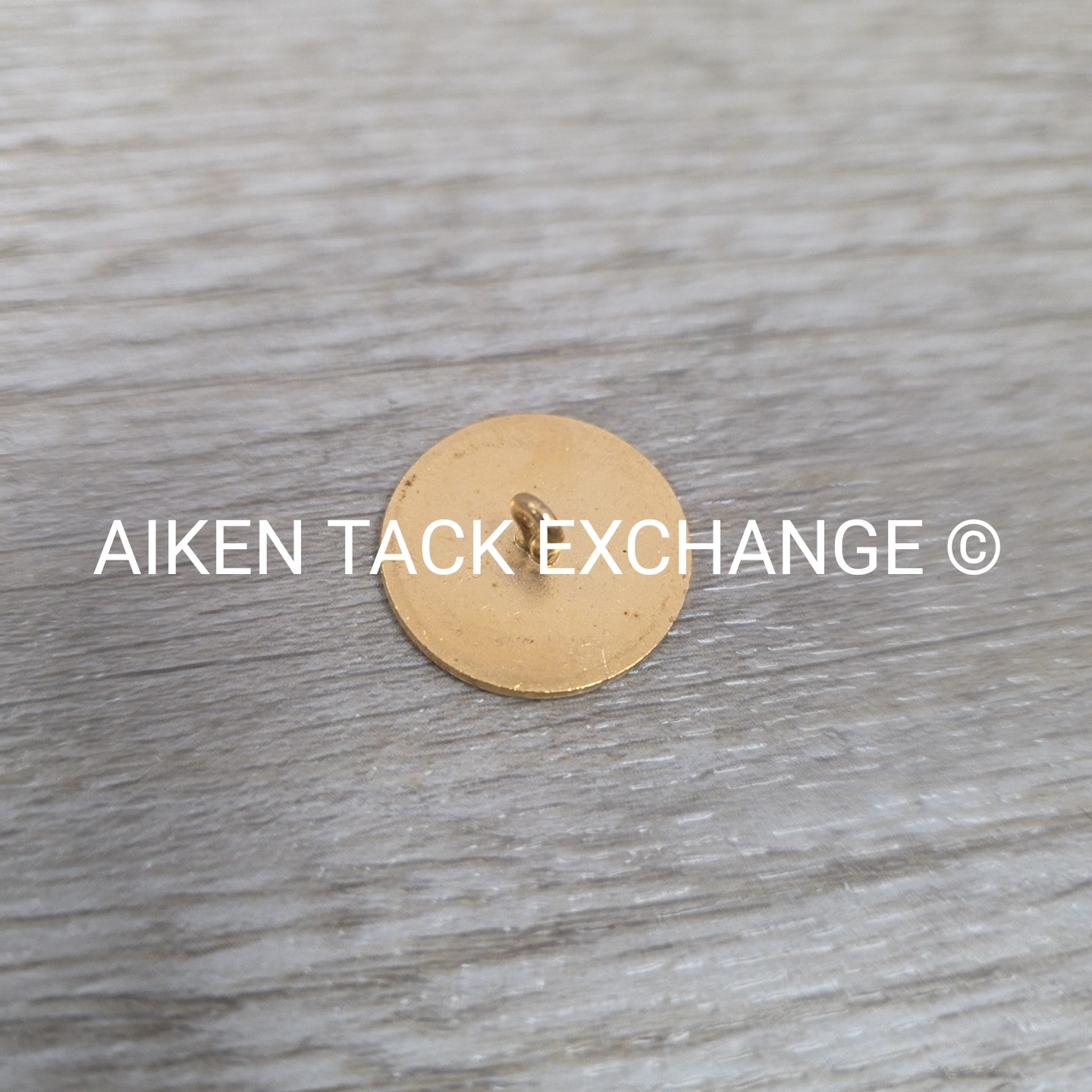 Tryon Hounds Brass Button, Large