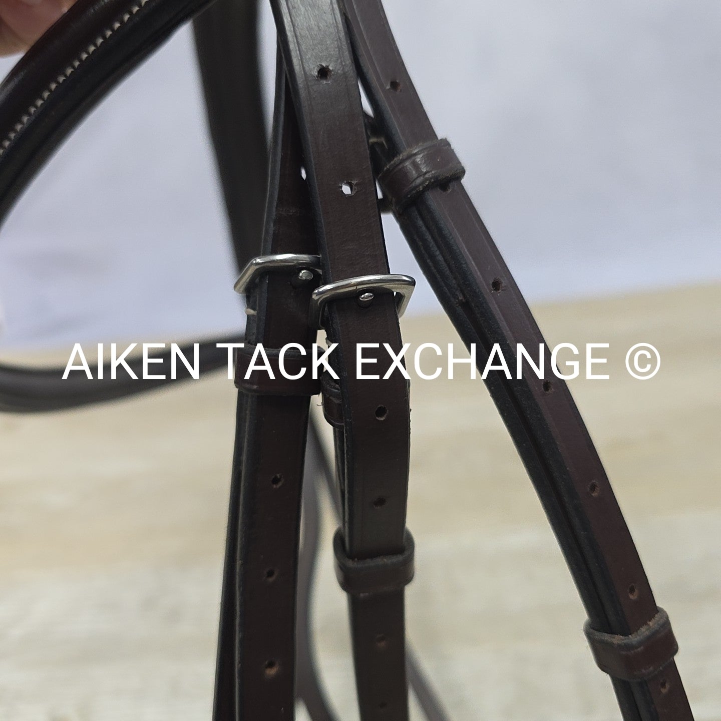 KL Select Black Oak Aster Bridle, No Reins, Oversize