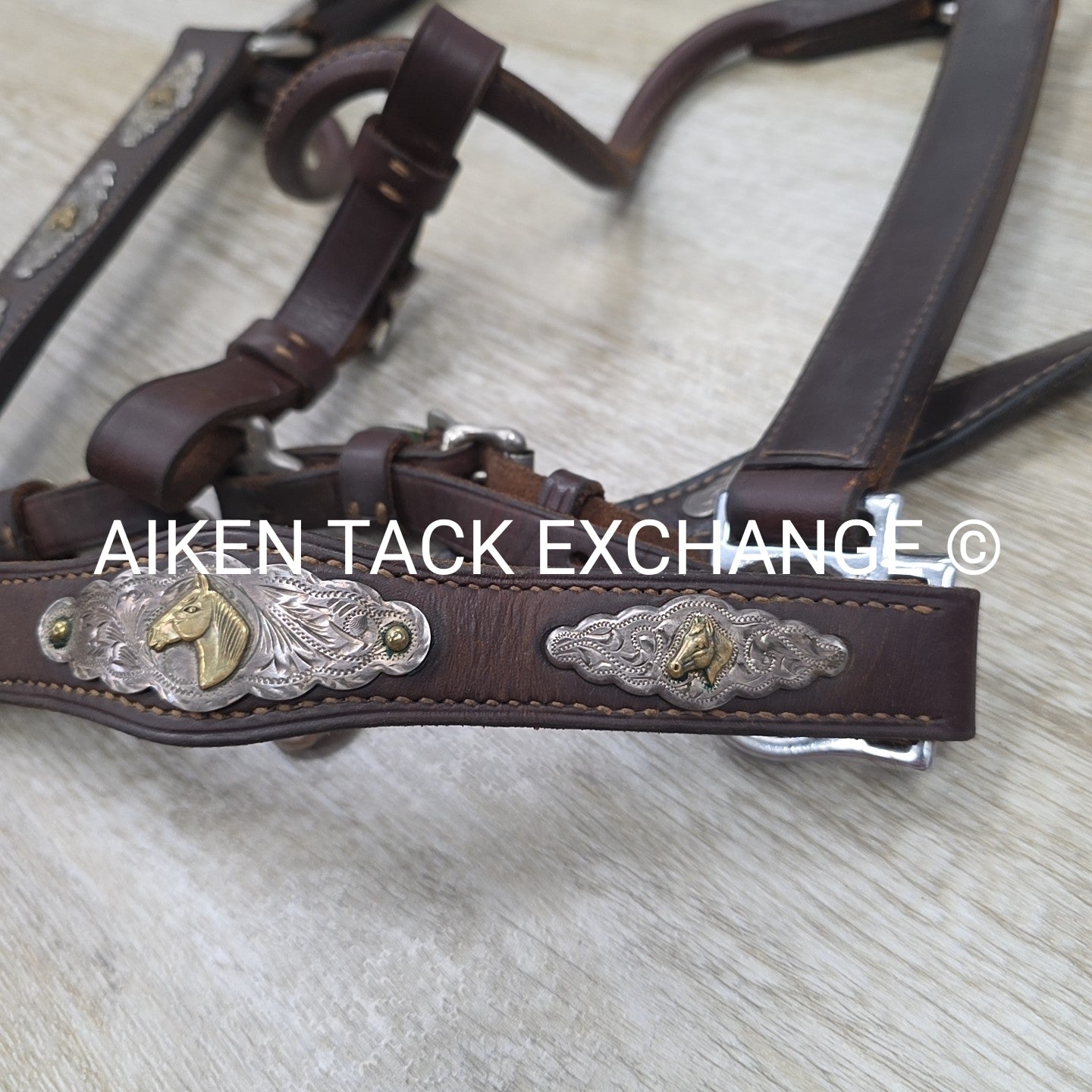 Victor Quality Westen Show Halter with Lead