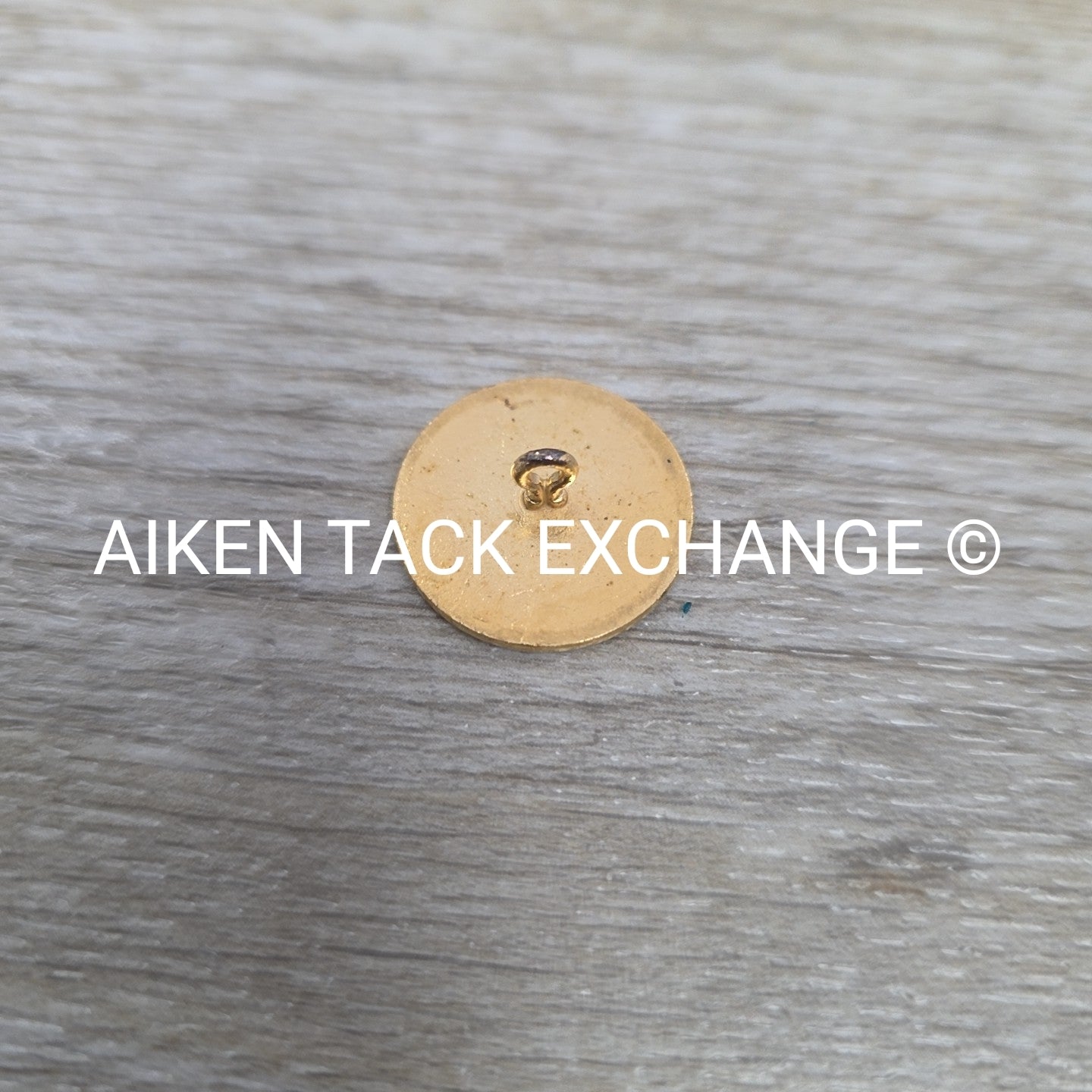 Tryon Hounds Brass Button, Large