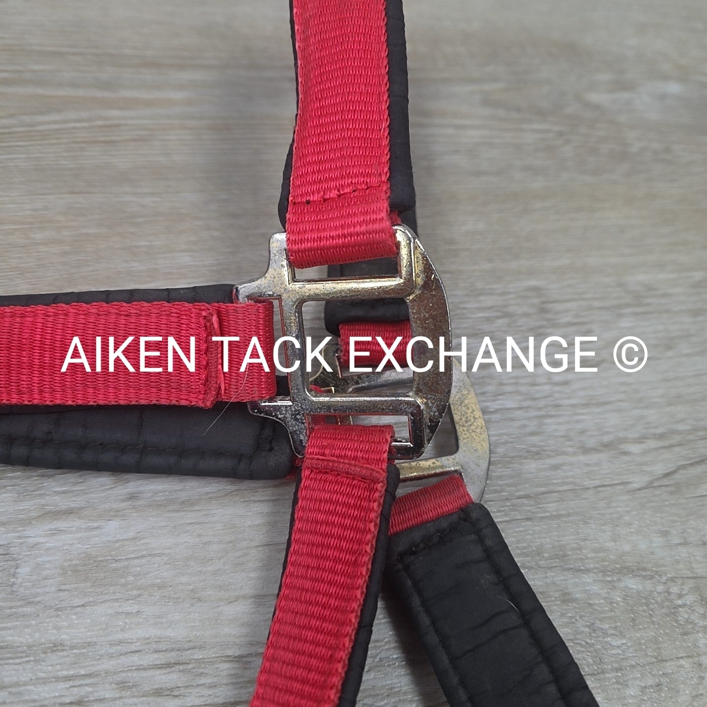 Schneiders Padded Breakaway Halter, Oversize