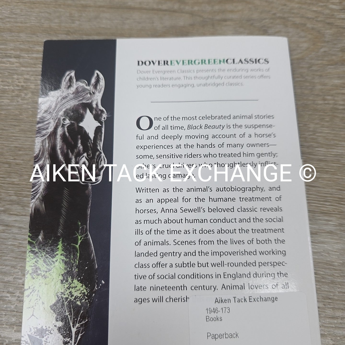 Black Beauty by Anna Sewell