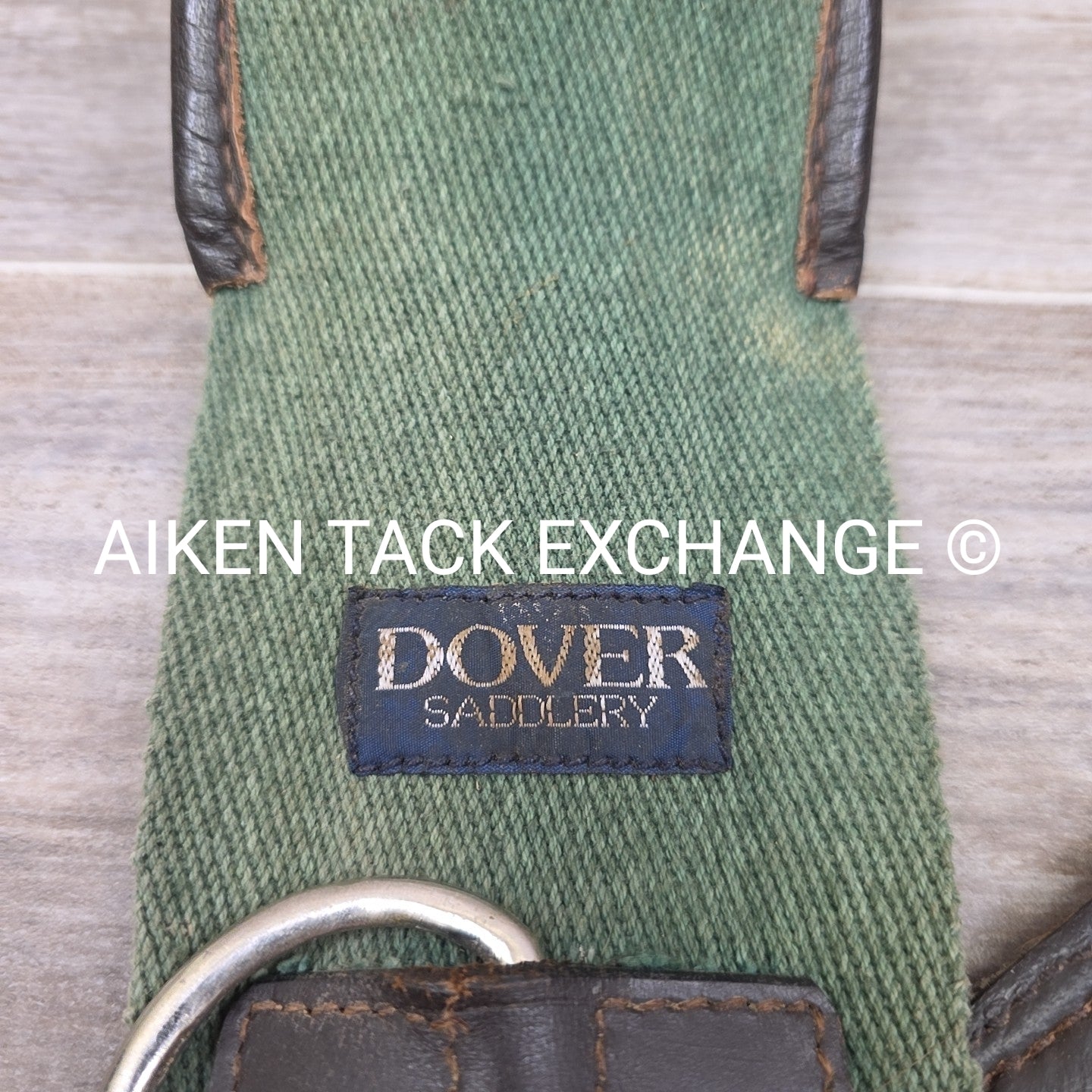 Dover Saddlery Classic Web Lunging Surcingle