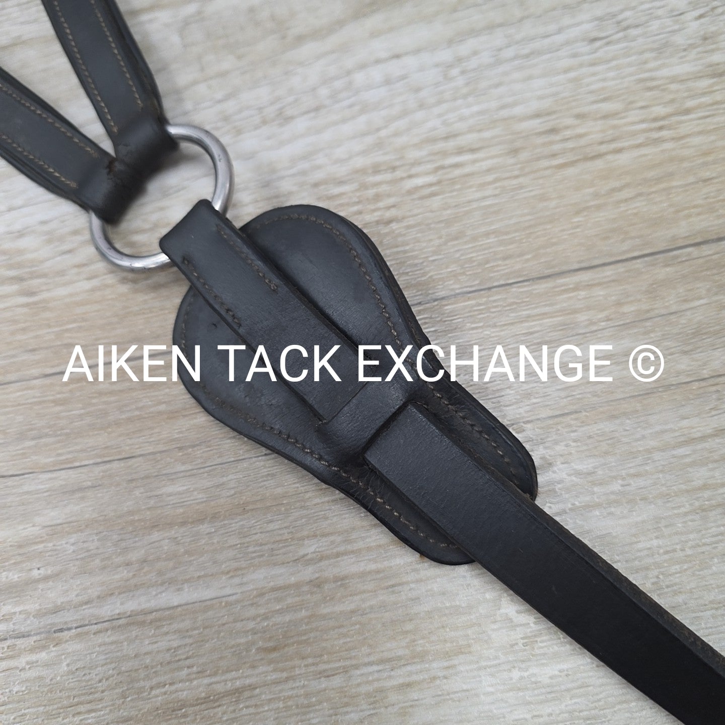 HDR 5 Point Elastic Breastplate, Black, Size Full
